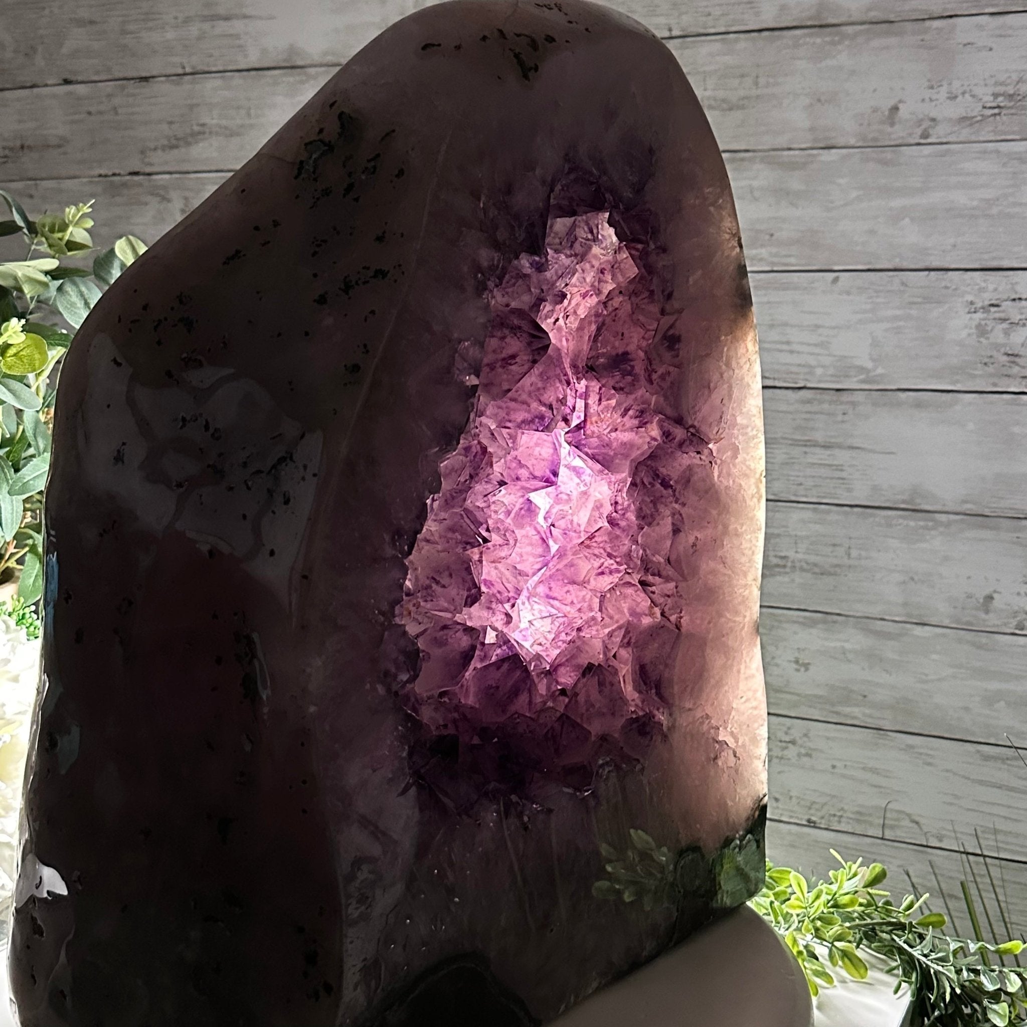 Extra Quality Polished Brazilian Amethyst Cathedral, 102.1 lbs & 18.3" tall Model #5602-0045 by Brazil Gems - Brazil GemsBrazil GemsExtra Quality Polished Brazilian Amethyst Cathedral, 102.1 lbs & 18.3" tall Model #5602-0045 by Brazil GemsPolished Cathedrals5602-0045