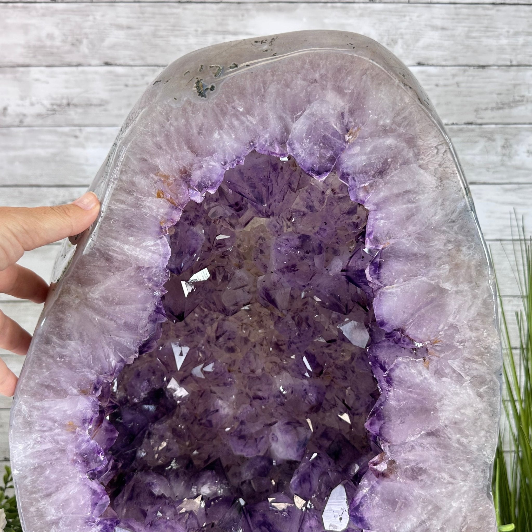 Extra Quality Polished Brazilian Amethyst Cathedral, 102.1 lbs & 18.3" tall Model #5602-0045 by Brazil Gems - Brazil GemsBrazil GemsExtra Quality Polished Brazilian Amethyst Cathedral, 102.1 lbs & 18.3" tall Model #5602-0045 by Brazil GemsPolished Cathedrals5602-0045