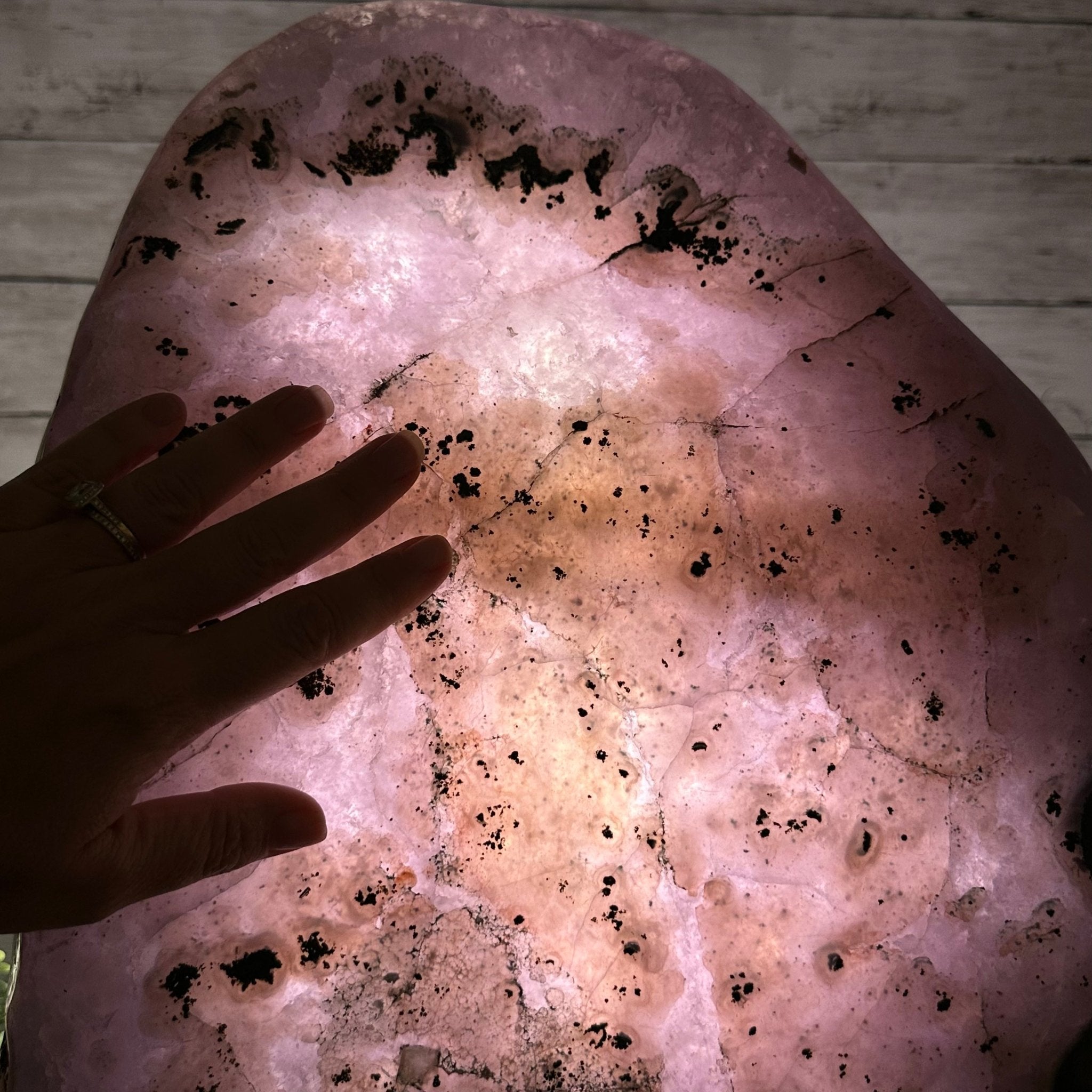 Extra Quality Polished Brazilian Amethyst Cathedral, 102.1 lbs & 18.3" tall Model #5602-0045 by Brazil Gems - Brazil GemsBrazil GemsExtra Quality Polished Brazilian Amethyst Cathedral, 102.1 lbs & 18.3" tall Model #5602-0045 by Brazil GemsPolished Cathedrals5602-0045