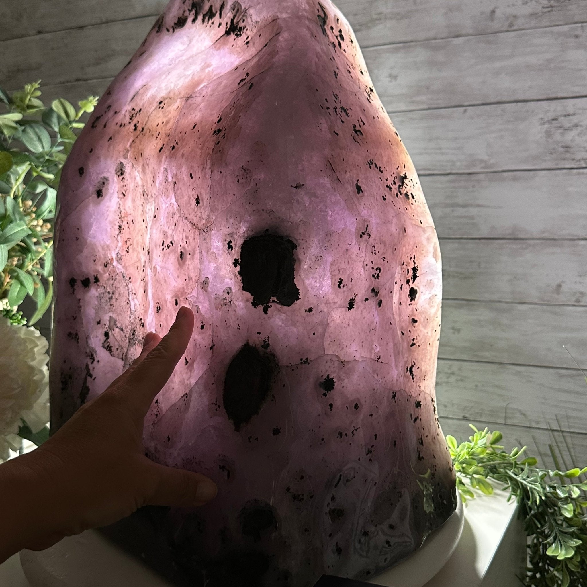 Extra Quality Polished Brazilian Amethyst Cathedral, 102.1 lbs & 18.3" tall Model #5602-0045 by Brazil Gems - Brazil GemsBrazil GemsExtra Quality Polished Brazilian Amethyst Cathedral, 102.1 lbs & 18.3" tall Model #5602-0045 by Brazil GemsPolished Cathedrals5602-0045