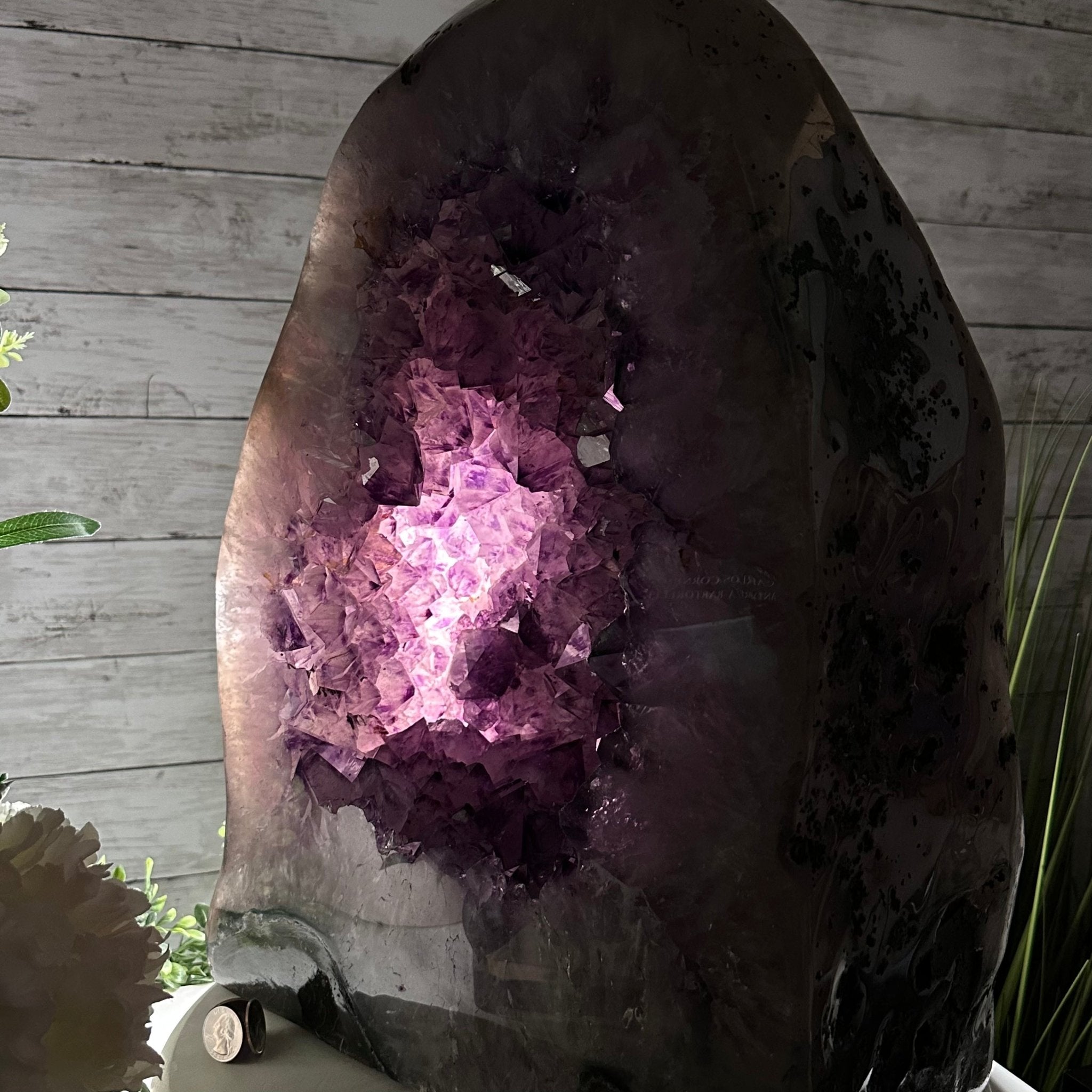 Extra Quality Polished Brazilian Amethyst Cathedral, 102.1 lbs & 18.3" tall Model #5602-0045 by Brazil Gems - Brazil GemsBrazil GemsExtra Quality Polished Brazilian Amethyst Cathedral, 102.1 lbs & 18.3" tall Model #5602-0045 by Brazil GemsPolished Cathedrals5602-0045