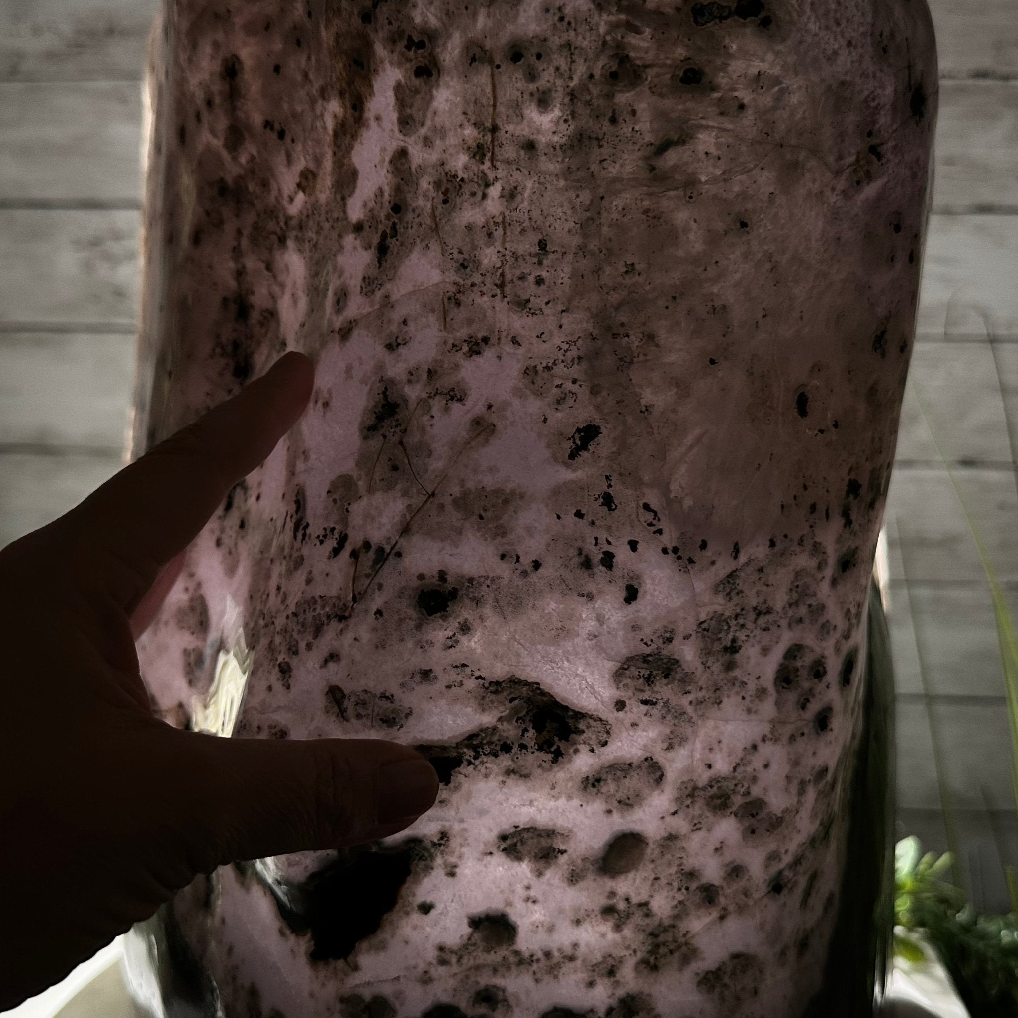 Extra Quality Polished Brazilian Amethyst Cathedral, 103.3 lbs & 18.9" tall Model #5602-0199 by Brazil Gems - Brazil GemsBrazil GemsExtra Quality Polished Brazilian Amethyst Cathedral, 103.3 lbs & 18.9" tall Model #5602-0199 by Brazil GemsPolished Cathedrals5602-0199