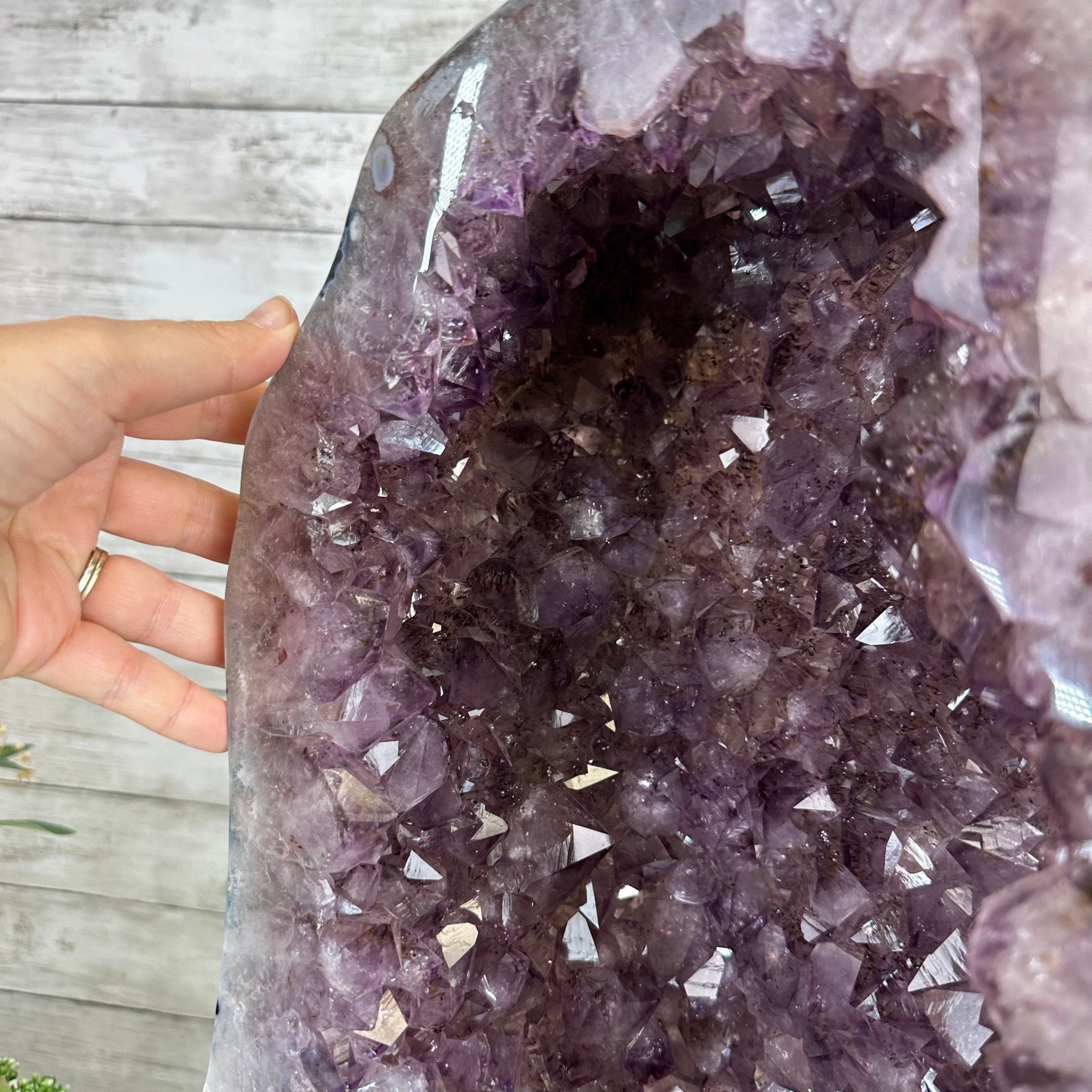 Extra Quality Polished Brazilian Amethyst Cathedral, 104.8 lbs & 24.5" tall Model #5602-0165 by Brazil Gems - Brazil GemsBrazil GemsExtra Quality Polished Brazilian Amethyst Cathedral, 104.8 lbs & 24.5" tall Model #5602-0165 by Brazil GemsPolished Cathedrals5602-0165