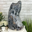 Extra Quality Polished Brazilian Amethyst Cathedral, 104.8 lbs & 24.5" tall Model #5602-0165 by Brazil Gems - Brazil GemsBrazil GemsExtra Quality Polished Brazilian Amethyst Cathedral, 104.8 lbs & 24.5" tall Model #5602-0165 by Brazil GemsPolished Cathedrals5602-0165