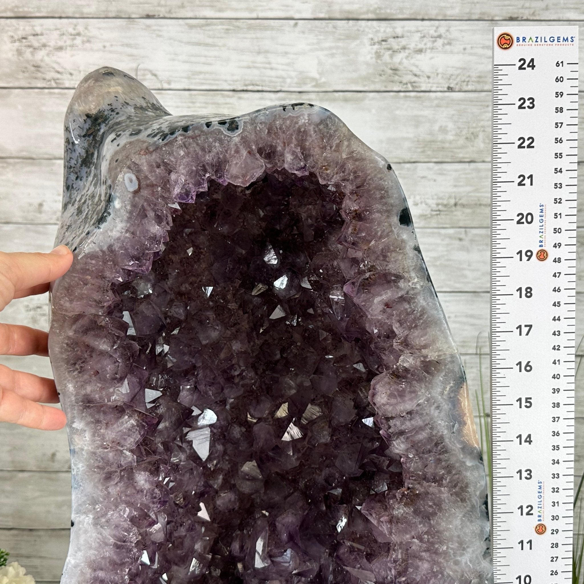 Extra Quality Polished Brazilian Amethyst Cathedral, 104.8 lbs & 24.5" tall Model #5602-0165 by Brazil Gems - Brazil GemsBrazil GemsExtra Quality Polished Brazilian Amethyst Cathedral, 104.8 lbs & 24.5" tall Model #5602-0165 by Brazil GemsPolished Cathedrals5602-0165