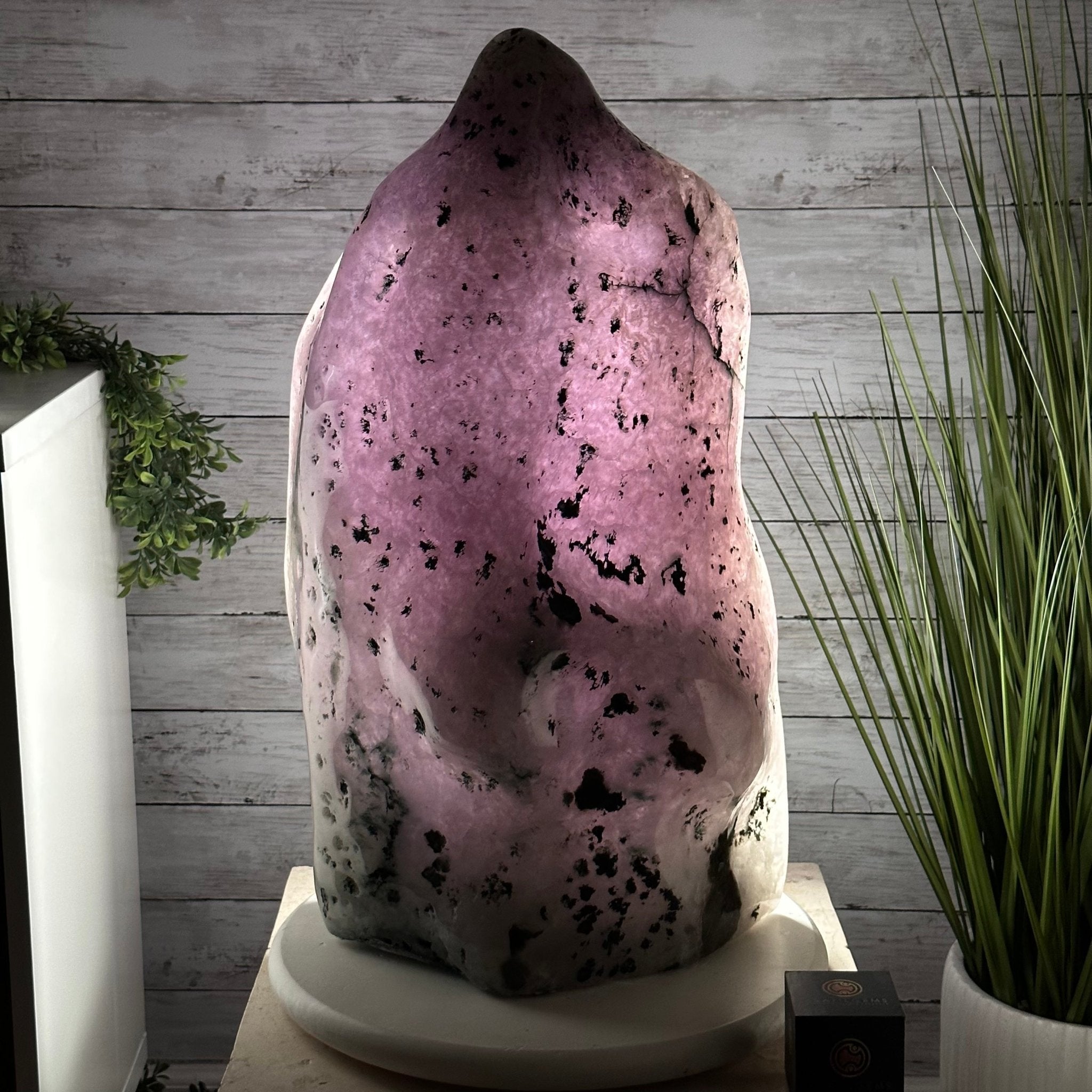 Extra Quality Polished Brazilian Amethyst Cathedral, 106.6 lbs & 23.75" tall Model #5602-0030 by Brazil Gems - Brazil GemsBrazil GemsExtra Quality Polished Brazilian Amethyst Cathedral, 106.6 lbs & 23.75" tall Model #5602-0030 by Brazil GemsPolished Cathedrals5602-0030