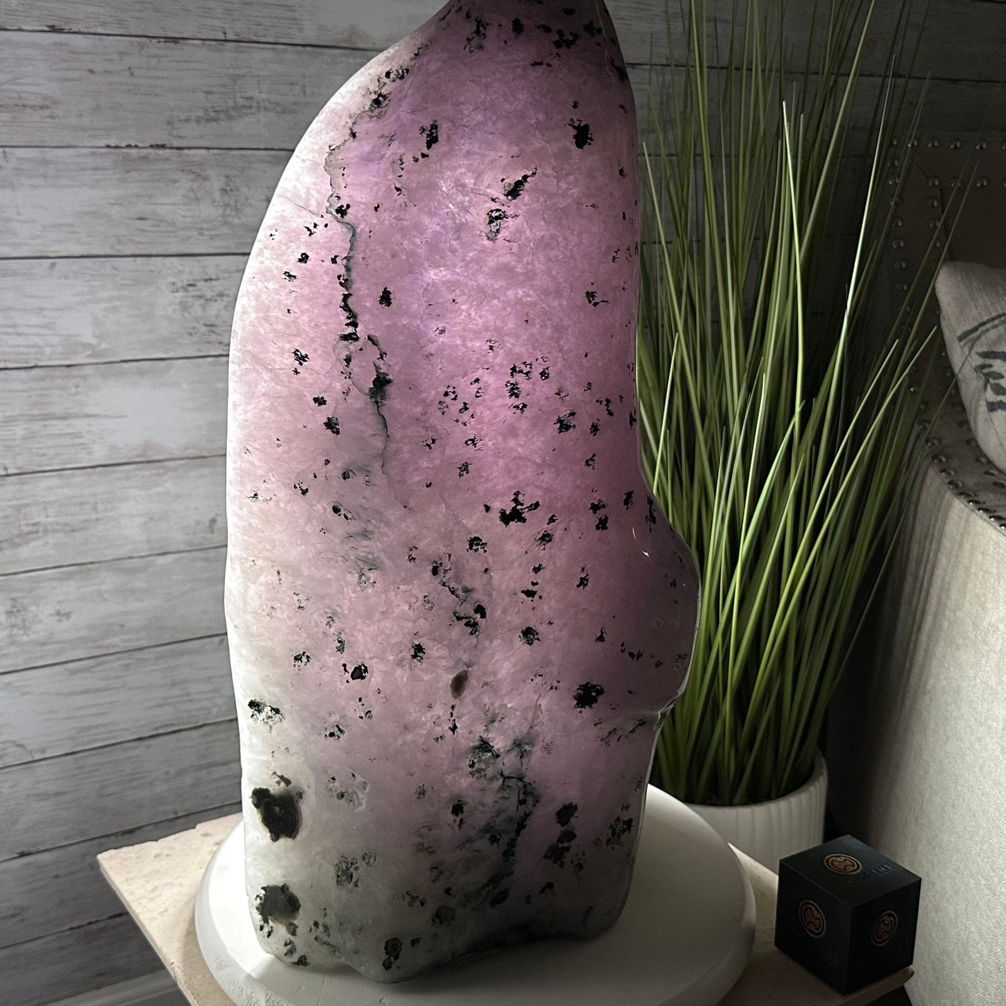 Extra Quality Polished Brazilian Amethyst Cathedral, 106.6 lbs & 23.75" tall Model #5602-0030 by Brazil Gems - Brazil GemsBrazil GemsExtra Quality Polished Brazilian Amethyst Cathedral, 106.6 lbs & 23.75" tall Model #5602-0030 by Brazil GemsPolished Cathedrals5602-0030