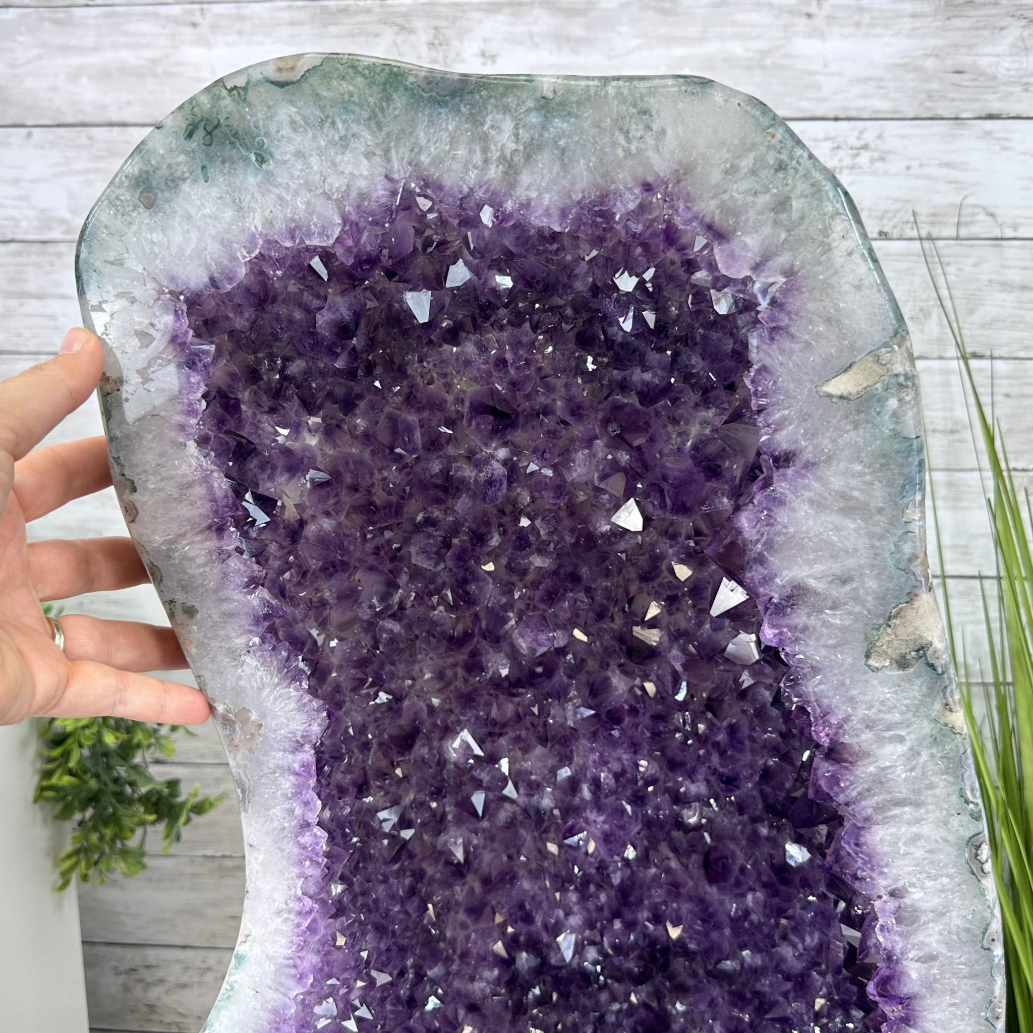 Extra Quality Polished Brazilian Amethyst Cathedral, 110.5 lbs & 26.5" tall Model #5602-0063 by Brazil Gems - Brazil GemsBrazil GemsExtra Quality Polished Brazilian Amethyst Cathedral, 110.5 lbs & 26.5" tall Model #5602-0063 by Brazil GemsPolished Cathedrals5602-0063