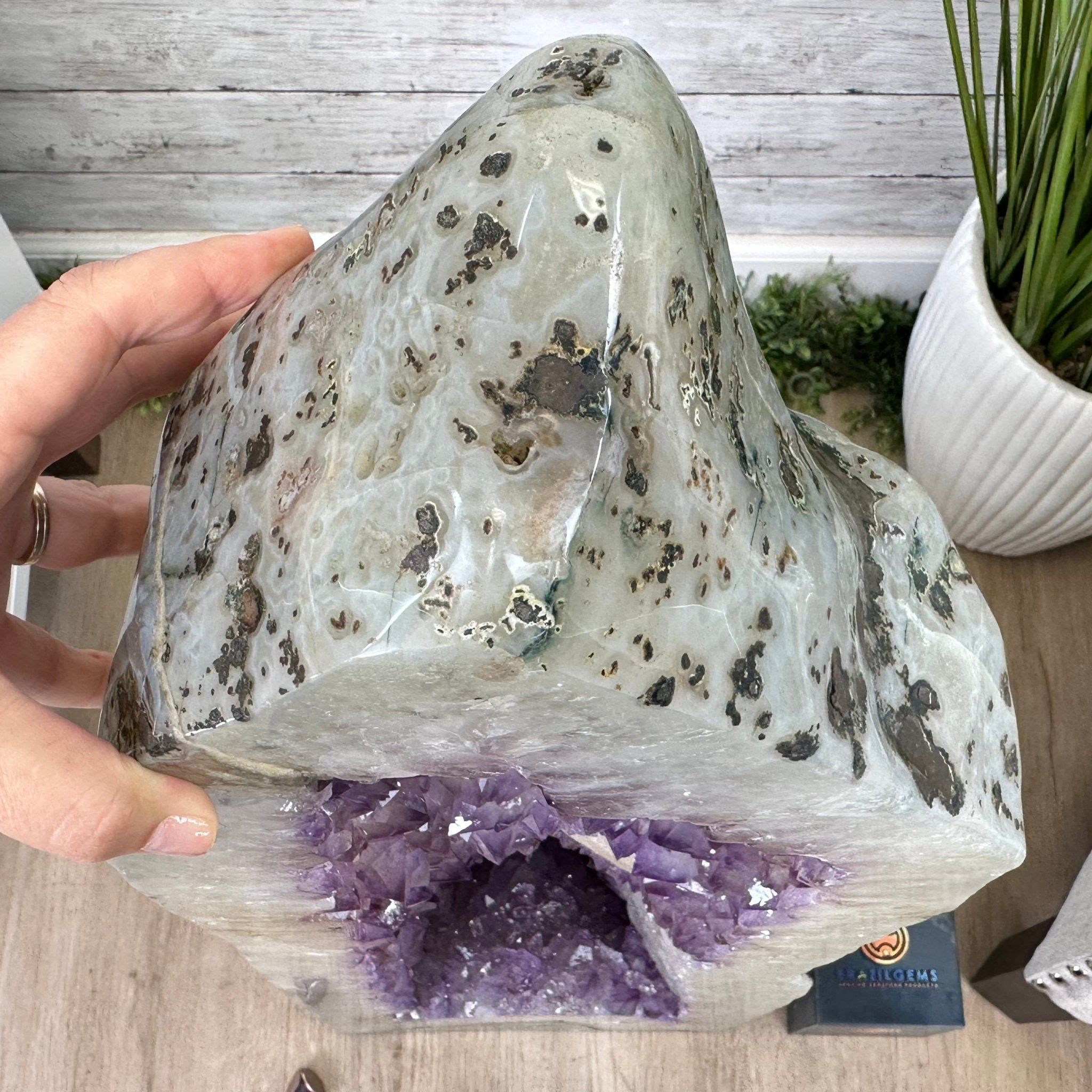 Extra Quality Polished Brazilian Amethyst Cathedral, 119.5 lbs & 34.75" tall Model #5602-0200 by Brazil Gems - Brazil GemsBrazil GemsExtra Quality Polished Brazilian Amethyst Cathedral, 119.5 lbs & 34.75" tall Model #5602-0200 by Brazil GemsPolished Cathedrals5602-0200