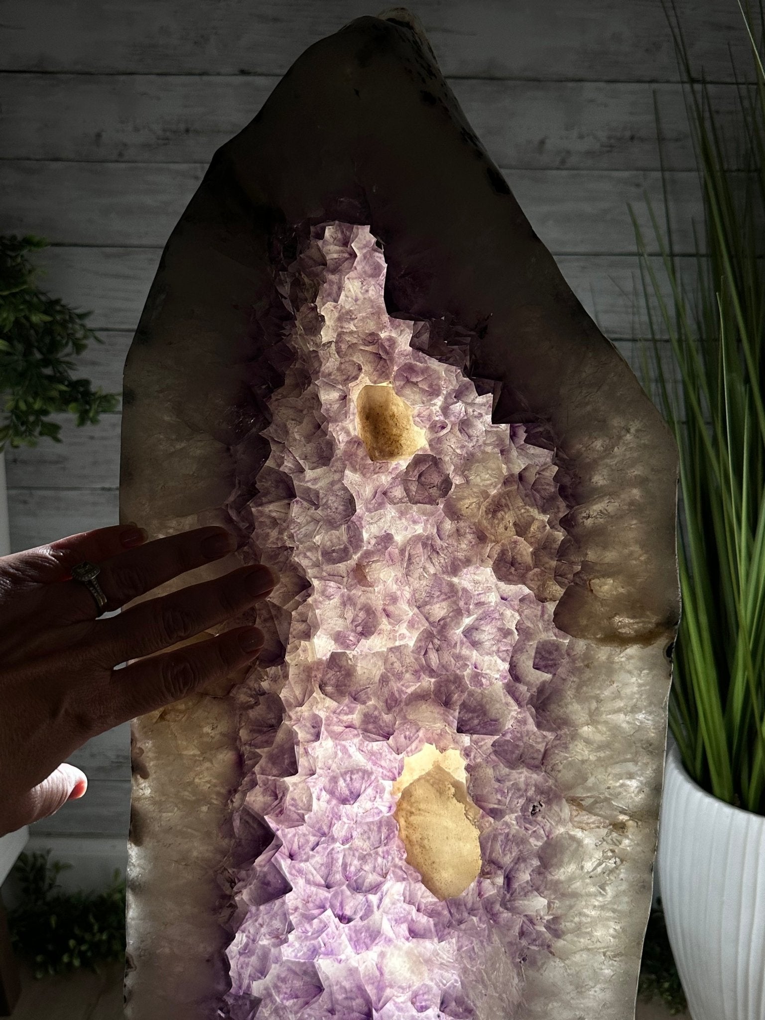 Extra Quality Polished Brazilian Amethyst Cathedral, 119.5 lbs & 34.75" tall Model #5602-0200 by Brazil Gems - Brazil GemsBrazil GemsExtra Quality Polished Brazilian Amethyst Cathedral, 119.5 lbs & 34.75" tall Model #5602-0200 by Brazil GemsPolished Cathedrals5602-0200