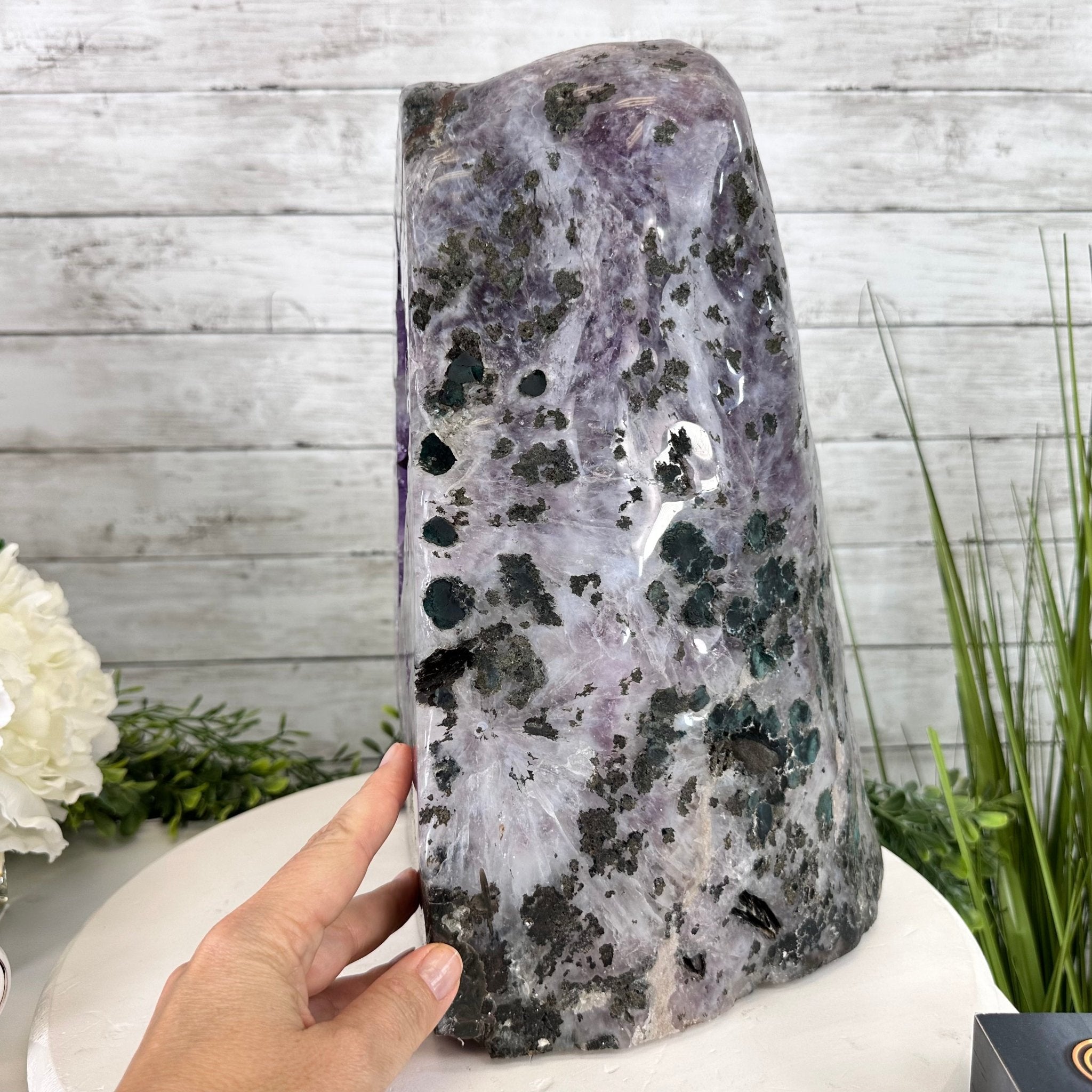 Extra Quality Polished Brazilian Amethyst Cathedral, 37 lbs & 13.5" tall Model #5602-0189 by Brazil Gems - Brazil GemsBrazil GemsExtra Quality Polished Brazilian Amethyst Cathedral, 37 lbs & 13.5" tall Model #5602-0189 by Brazil GemsPolished Cathedrals5602-0189