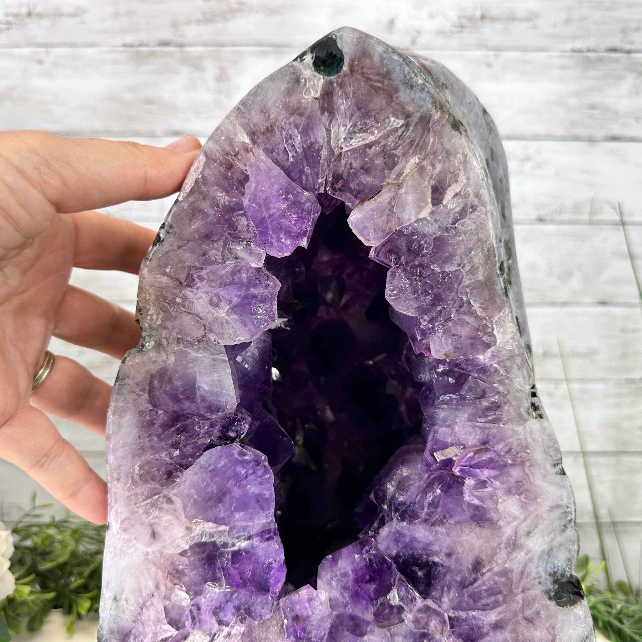 Extra Quality Polished Brazilian Amethyst Cathedral, 37 lbs & 13.5" tall Model #5602-0189 by Brazil Gems - Brazil GemsBrazil GemsExtra Quality Polished Brazilian Amethyst Cathedral, 37 lbs & 13.5" tall Model #5602-0189 by Brazil GemsPolished Cathedrals5602-0189