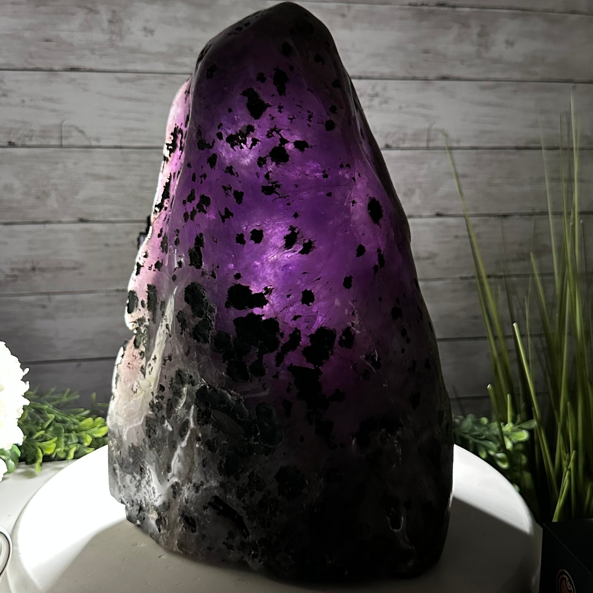 Extra Quality Polished Brazilian Amethyst Cathedral, 37 lbs & 13.5" tall Model #5602-0189 by Brazil Gems - Brazil GemsBrazil GemsExtra Quality Polished Brazilian Amethyst Cathedral, 37 lbs & 13.5" tall Model #5602-0189 by Brazil GemsPolished Cathedrals5602-0189