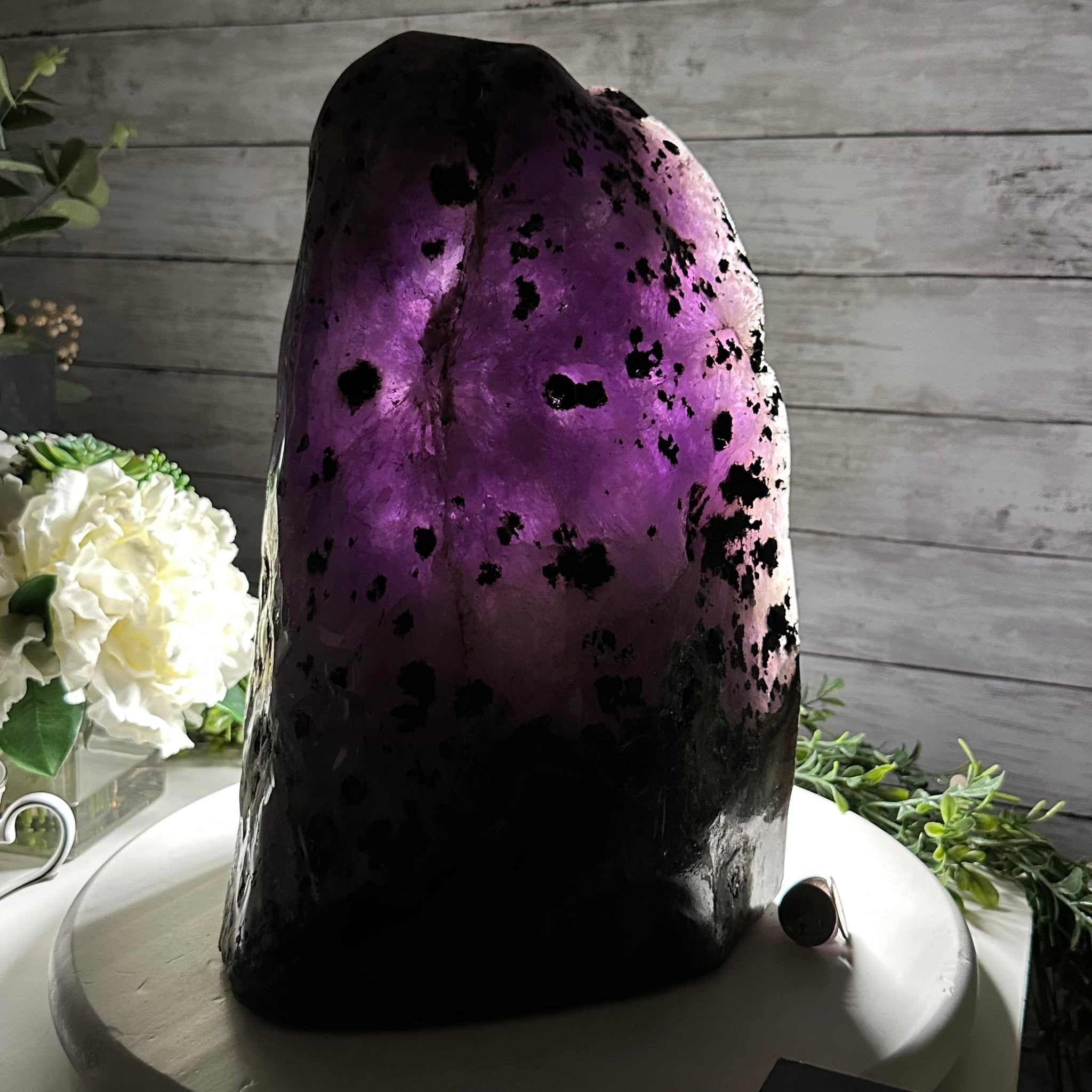 Extra Quality Polished Brazilian Amethyst Cathedral, 37 lbs & 13.5" tall Model #5602-0189 by Brazil Gems - Brazil GemsBrazil GemsExtra Quality Polished Brazilian Amethyst Cathedral, 37 lbs & 13.5" tall Model #5602-0189 by Brazil GemsPolished Cathedrals5602-0189