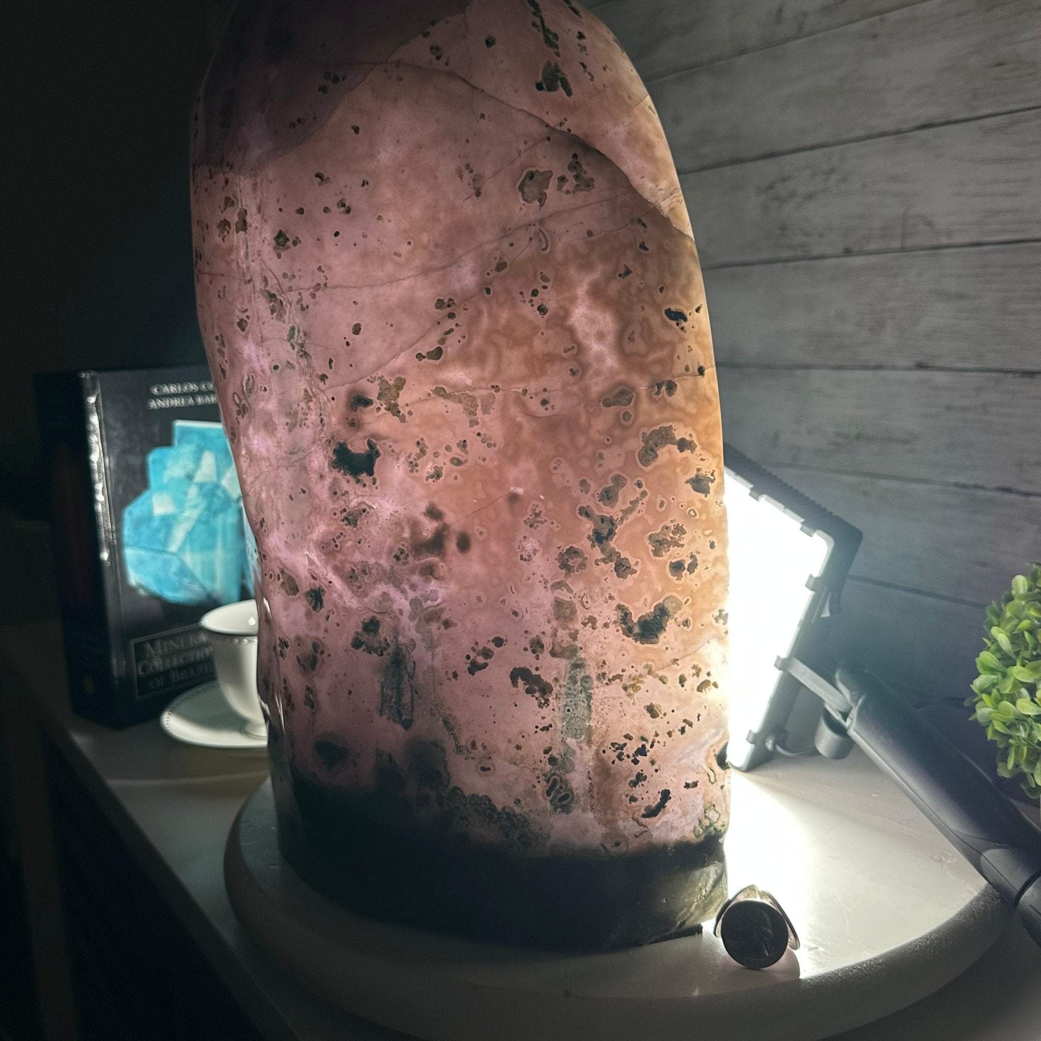 Extra Quality Polished Brazilian Amethyst Cathedral, 40 lbs & 15.5" tall Model #5602-0157 by Brazil Gems - Brazil GemsBrazil GemsExtra Quality Polished Brazilian Amethyst Cathedral, 40 lbs & 15.5" tall Model #5602-0157 by Brazil GemsPolished Cathedrals5602-0157