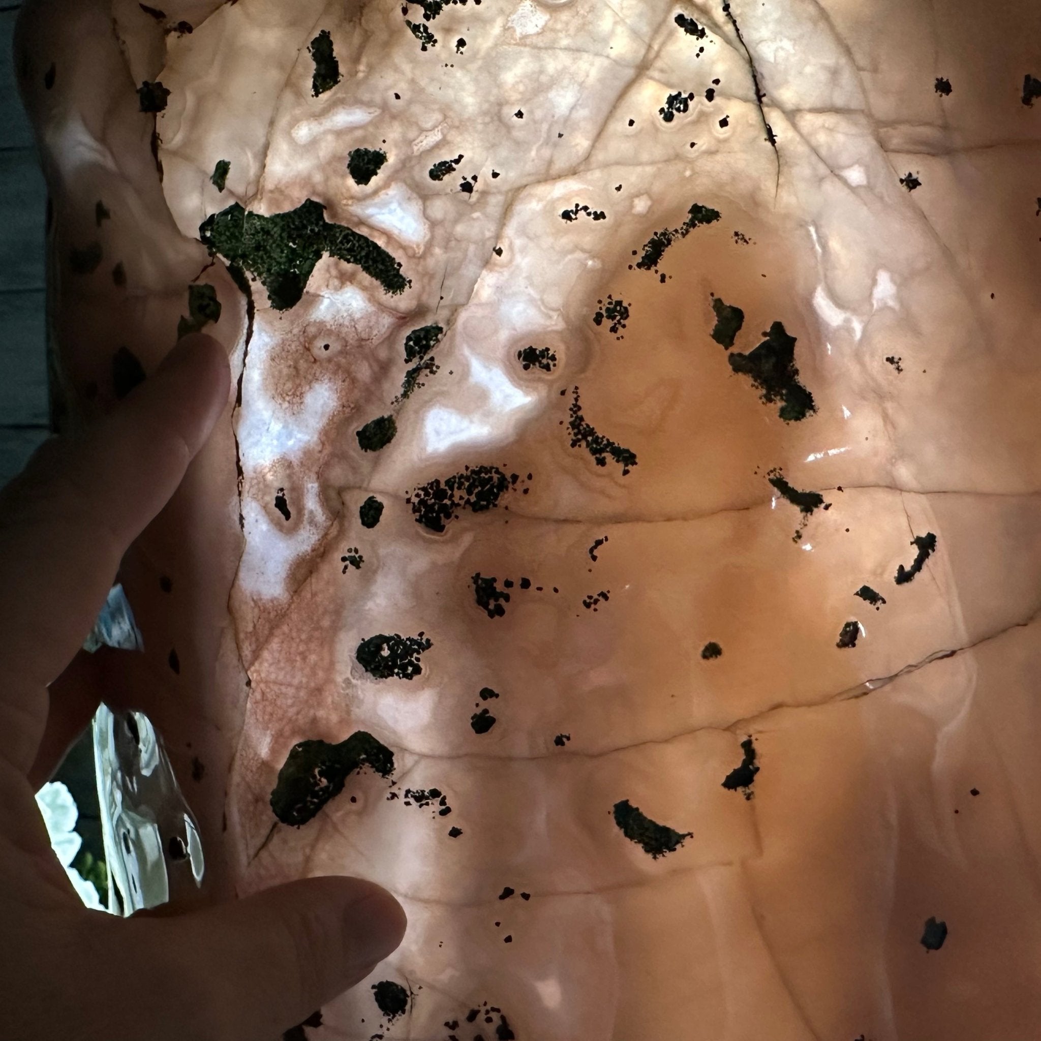 Extra Quality Polished Brazilian Amethyst Cathedral, 47.2 lbs & 18.6" tall Model #5602-0194 by Brazil Gems - Brazil GemsBrazil GemsExtra Quality Polished Brazilian Amethyst Cathedral, 47.2 lbs & 18.6" tall Model #5602-0194 by Brazil GemsPolished Cathedrals5602-0194