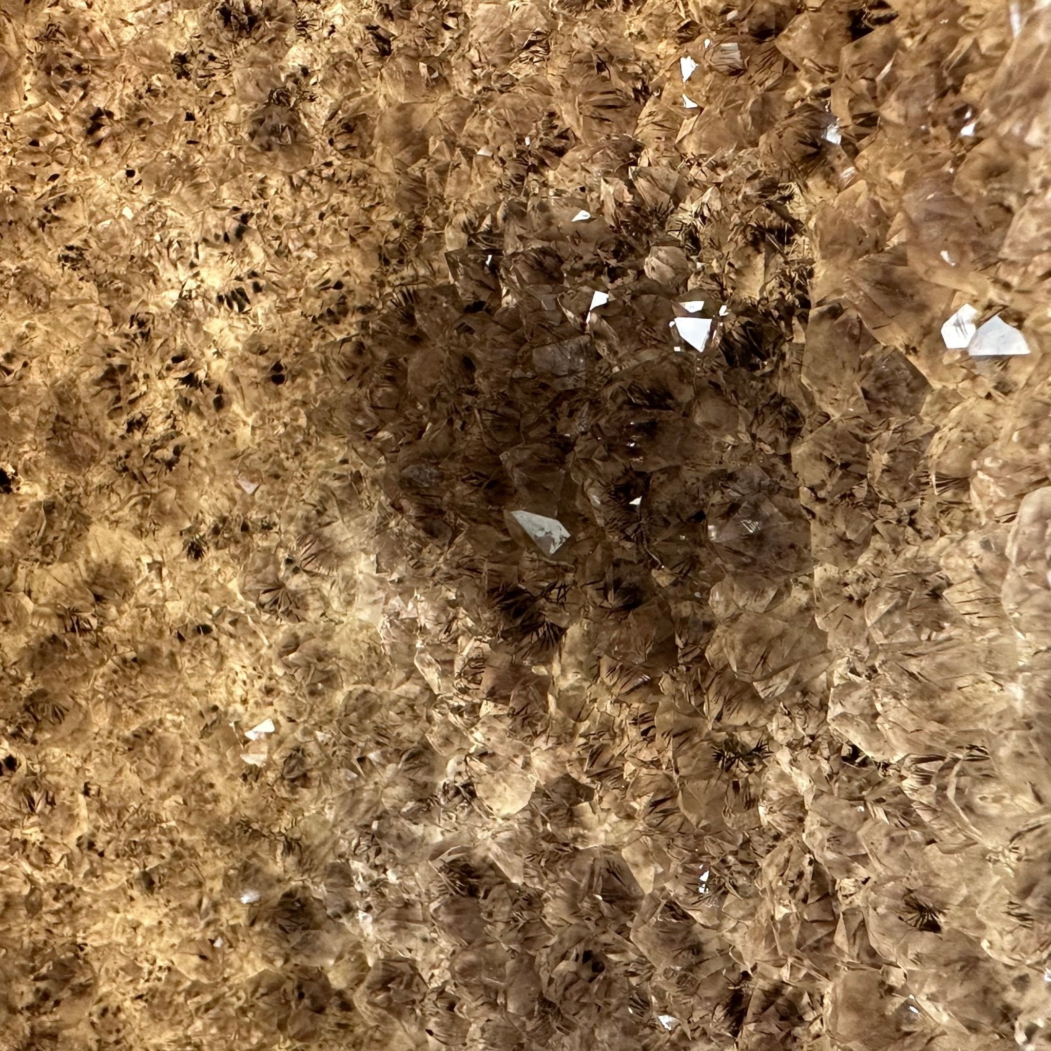 Extra Quality Polished Brazilian Amethyst Cathedral, 51.7 lbs & 30.5" tall Model #5602-0158 by Brazil Gems - Brazil GemsBrazil GemsExtra Quality Polished Brazilian Amethyst Cathedral, 51.7 lbs & 30.5" tall Model #5602-0158 by Brazil GemsPolished Cathedrals5602-0158