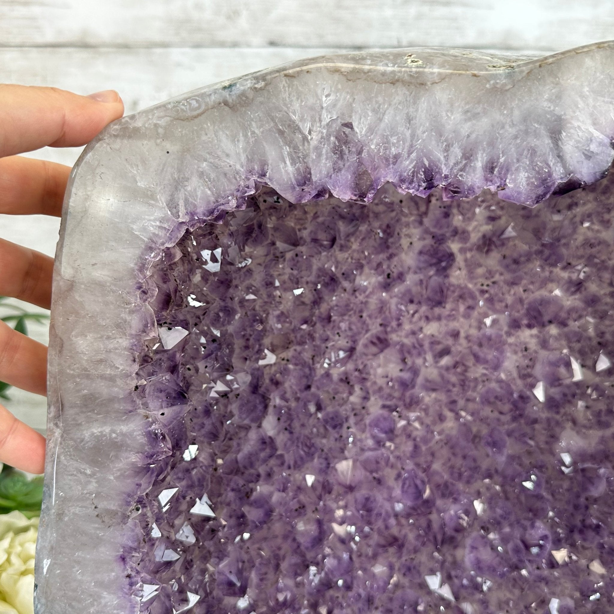Extra Quality Polished Brazilian Amethyst Cathedral, 62.6 lbs & 16.25" tall Model #5602-0161 by Brazil Gems - Brazil GemsBrazil GemsExtra Quality Polished Brazilian Amethyst Cathedral, 62.6 lbs & 16.25" tall Model #5602-0161 by Brazil GemsPolished Cathedrals5602-0161