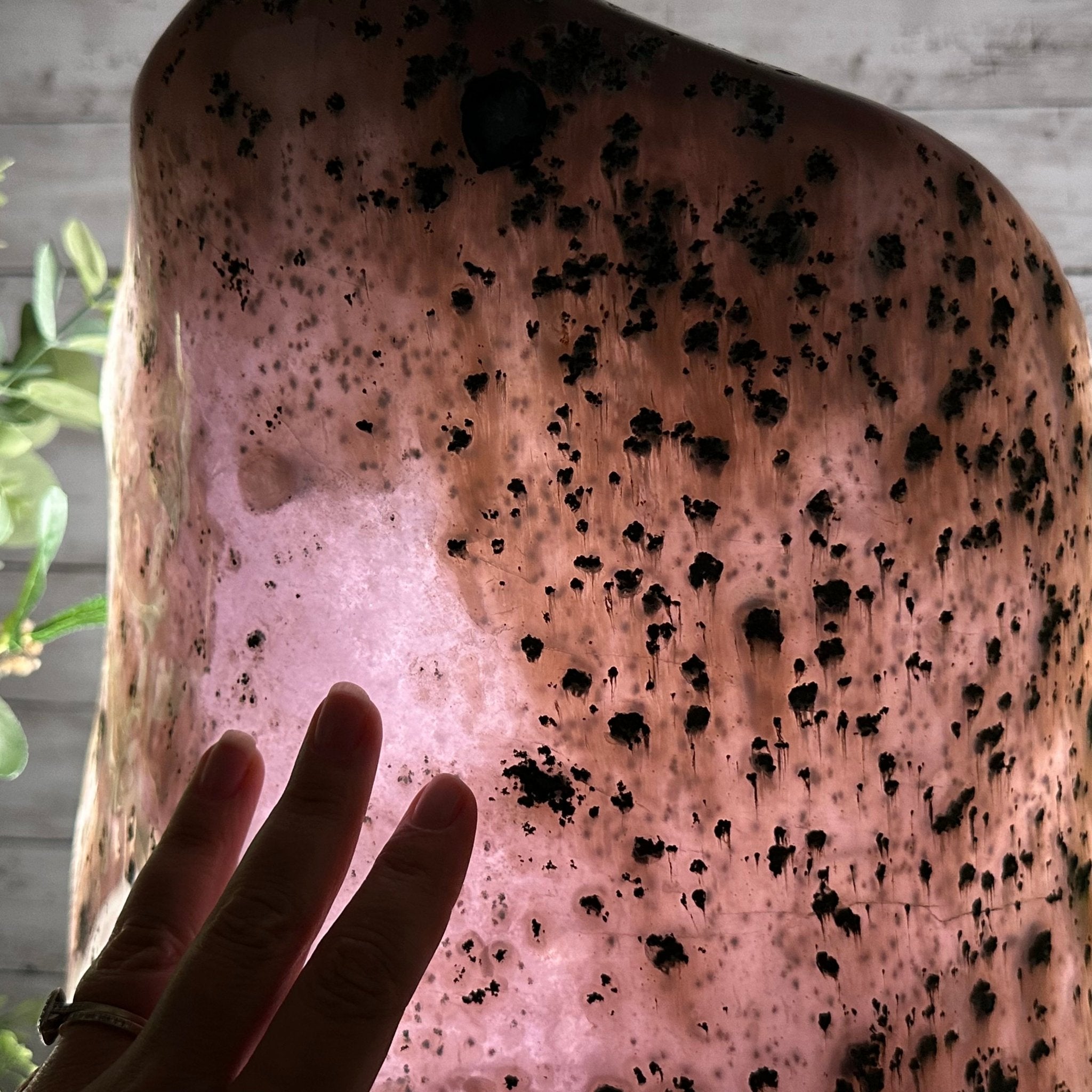 Extra Quality Polished Brazilian Amethyst Cathedral, 66.3 lbs & 16" tall Model #5602-0015 by Brazil Gems - Brazil GemsBrazil GemsExtra Quality Polished Brazilian Amethyst Cathedral, 66.3 lbs & 16" tall Model #5602-0015 by Brazil GemsPolished Cathedrals5602-0015