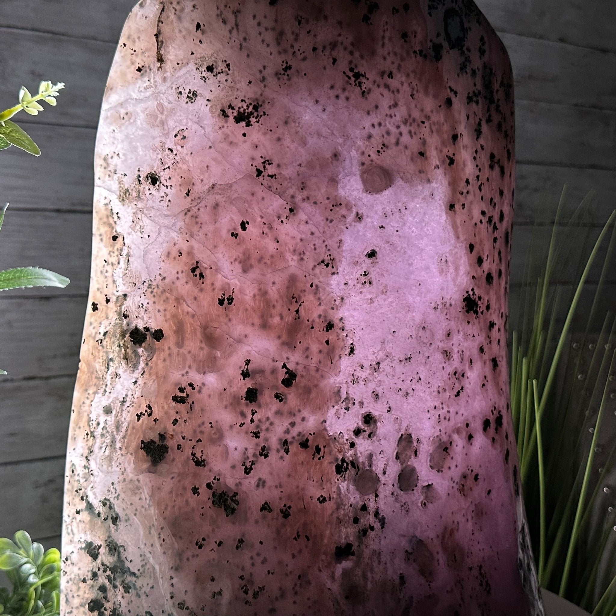 Extra Quality Polished Brazilian Amethyst Cathedral, 66.3 lbs & 16" tall Model #5602-0015 by Brazil Gems - Brazil GemsBrazil GemsExtra Quality Polished Brazilian Amethyst Cathedral, 66.3 lbs & 16" tall Model #5602-0015 by Brazil GemsPolished Cathedrals5602-0015