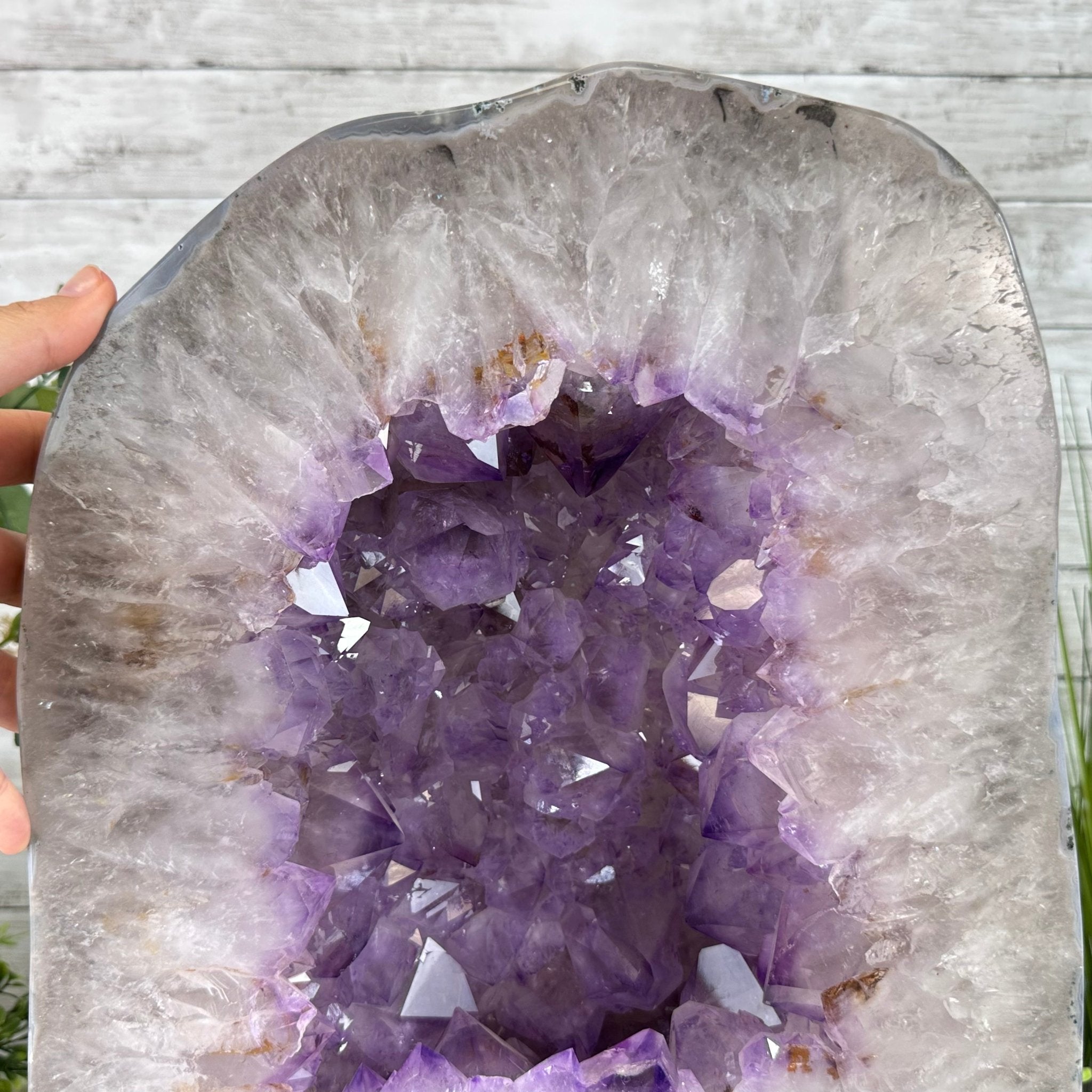 Extra Quality Polished Brazilian Amethyst Cathedral, 66.3 lbs & 16" tall Model #5602-0015 by Brazil Gems - Brazil GemsBrazil GemsExtra Quality Polished Brazilian Amethyst Cathedral, 66.3 lbs & 16" tall Model #5602-0015 by Brazil GemsPolished Cathedrals5602-0015