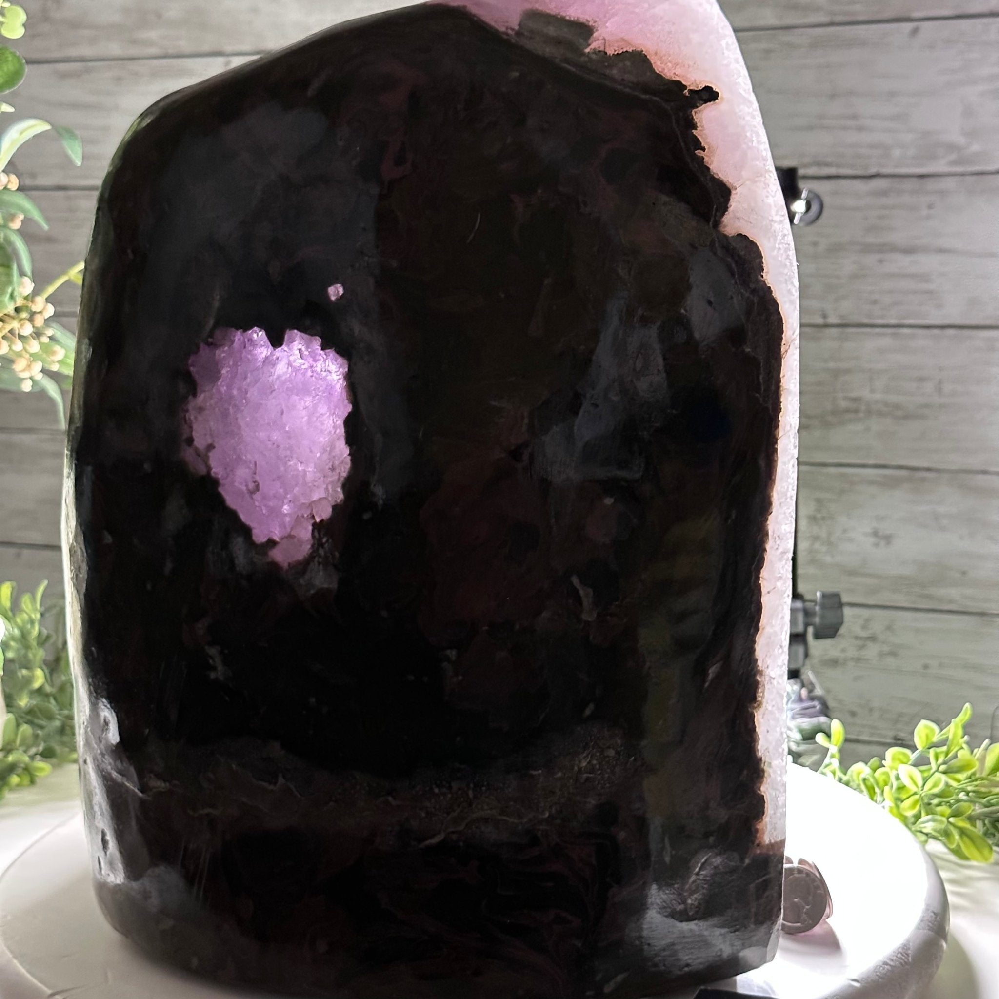 Extra Quality Polished Brazilian Amethyst Cathedral, 70.1 lbs & 13.5" tall Model #5602-0016 by Brazil Gems - Brazil GemsBrazil GemsExtra Quality Polished Brazilian Amethyst Cathedral, 70.1 lbs & 13.5" tall Model #5602-0016 by Brazil GemsPolished Cathedrals5602-0016