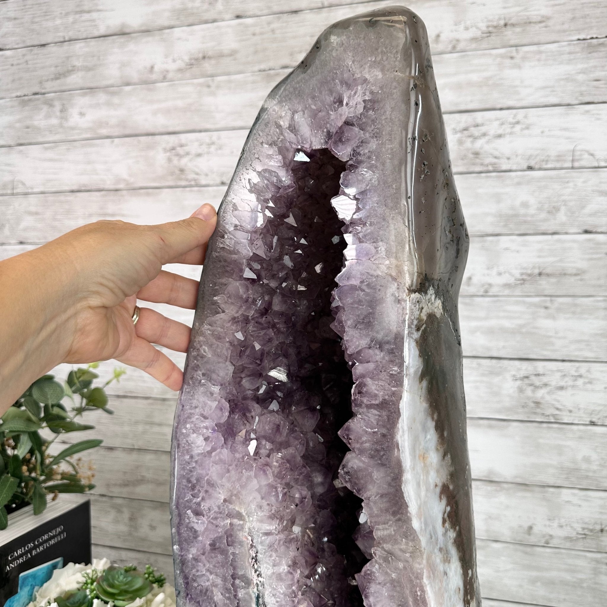 Extra Quality Polished Brazilian Amethyst Cathedral, 78.6 lbs & 24.5" tall Model #5602-0178 by Brazil Gems - Brazil GemsBrazil GemsExtra Quality Polished Brazilian Amethyst Cathedral, 78.6 lbs & 24.5" tall Model #5602-0178 by Brazil GemsPolished Cathedrals5602-0178