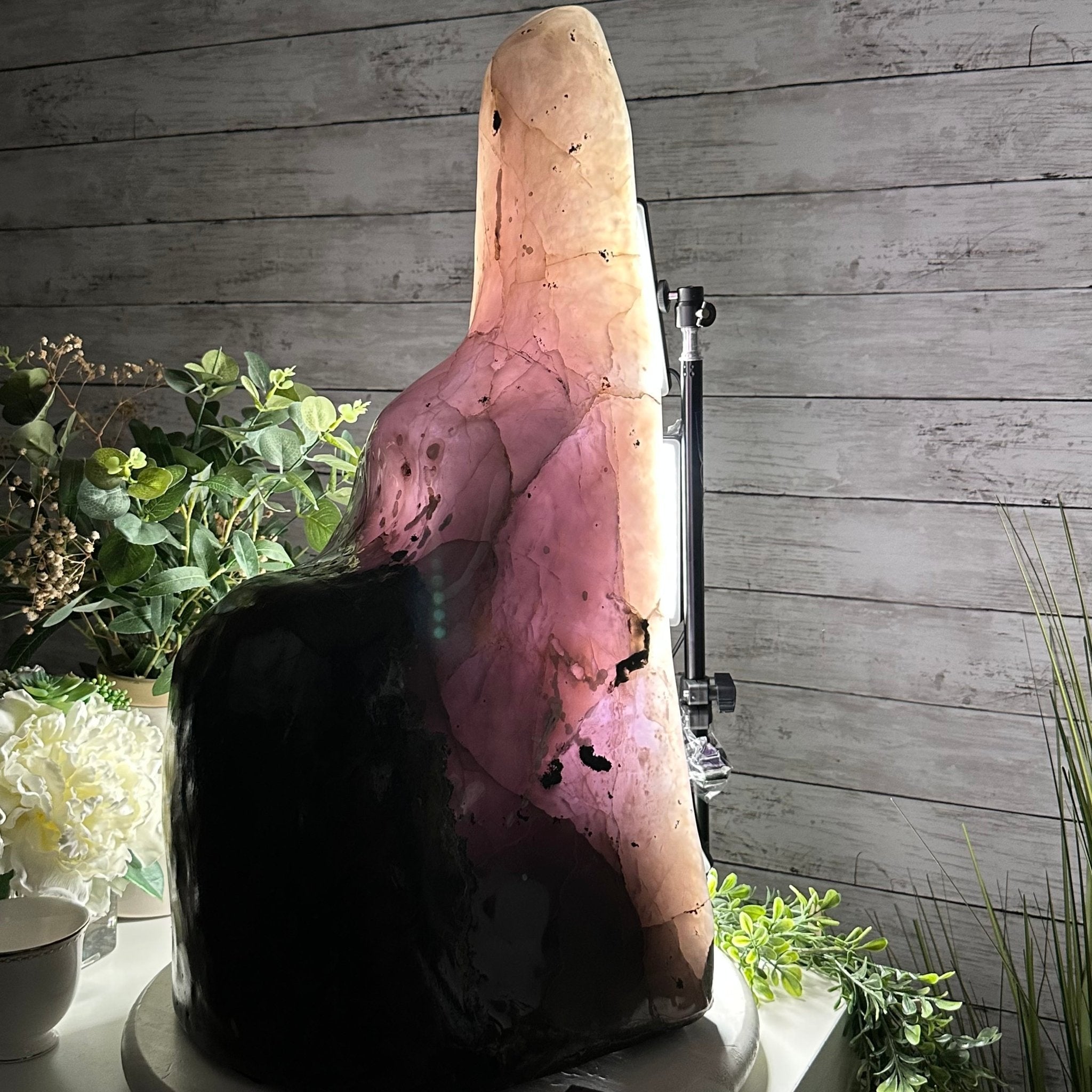 Extra Quality Polished Brazilian Amethyst Cathedral, 82.5 lbs & 23.6" tall Model #5602-0027 by Brazil Gems - Brazil GemsBrazil GemsExtra Quality Polished Brazilian Amethyst Cathedral, 82.5 lbs & 23.6" tall Model #5602-0027 by Brazil GemsPolished Cathedrals5602-0027