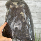Extra Quality Polished Brazilian Amethyst Cathedral, 84.8 lbs & 26.2" tall Model #5602-0164 by Brazil Gems - Brazil GemsBrazil GemsExtra Quality Polished Brazilian Amethyst Cathedral, 84.8 lbs & 26.2" tall Model #5602-0164 by Brazil GemsPolished Cathedrals5602-0164