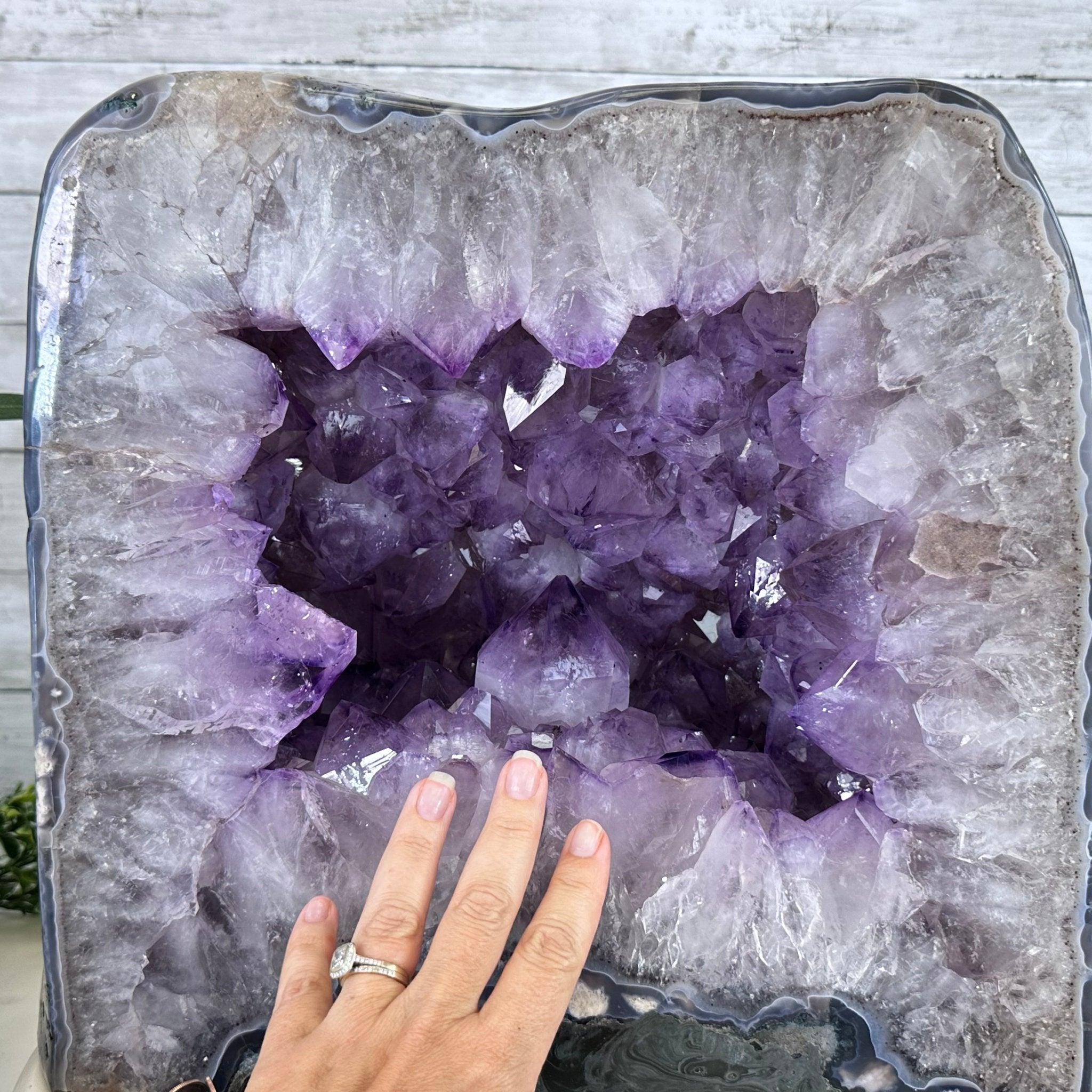 Extra Quality Polished Brazilian Amethyst Cathedral, 85.7 lbs & 13.9" tall Model #5602-0018 by Brazil Gems - Brazil GemsBrazil GemsExtra Quality Polished Brazilian Amethyst Cathedral, 85.7 lbs & 13.9" tall Model #5602-0018 by Brazil GemsPolished Cathedrals5602-0018