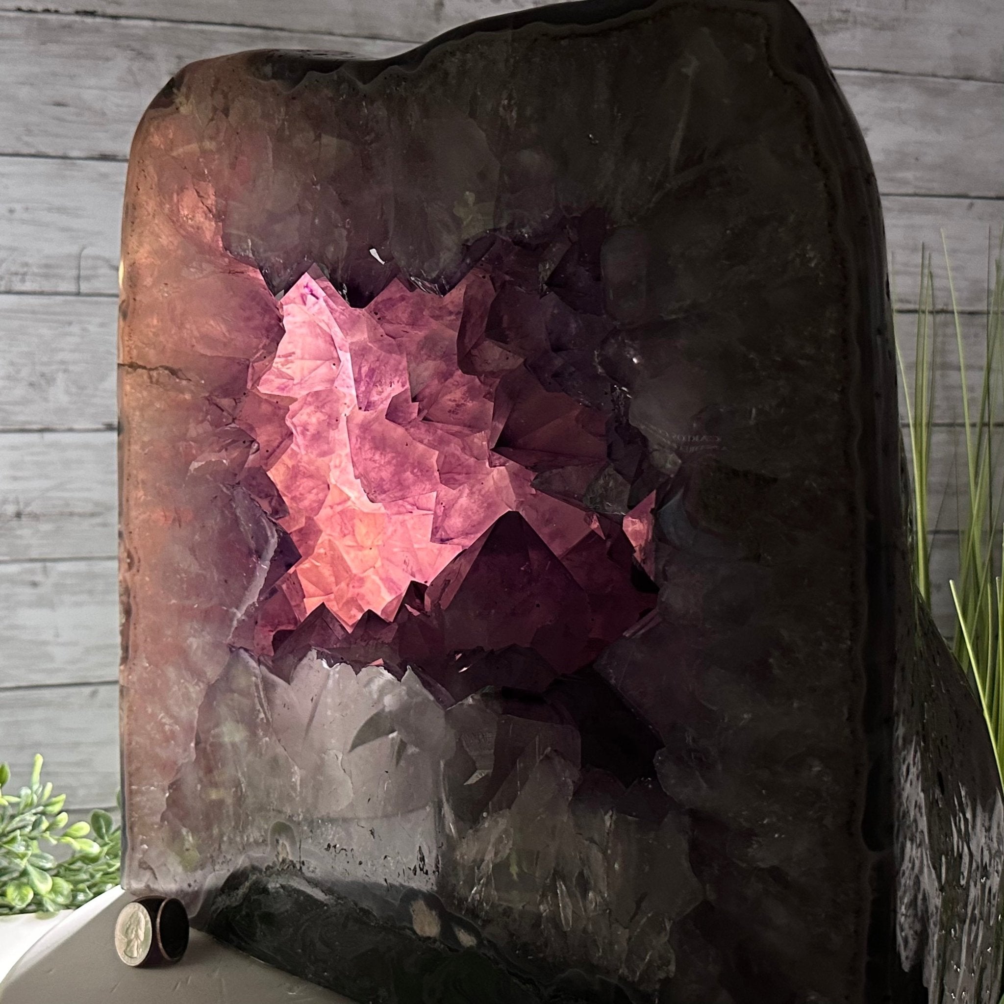 Extra Quality Polished Brazilian Amethyst Cathedral, 85.7 lbs & 13.9" tall Model #5602-0018 by Brazil Gems - Brazil GemsBrazil GemsExtra Quality Polished Brazilian Amethyst Cathedral, 85.7 lbs & 13.9" tall Model #5602-0018 by Brazil GemsPolished Cathedrals5602-0018