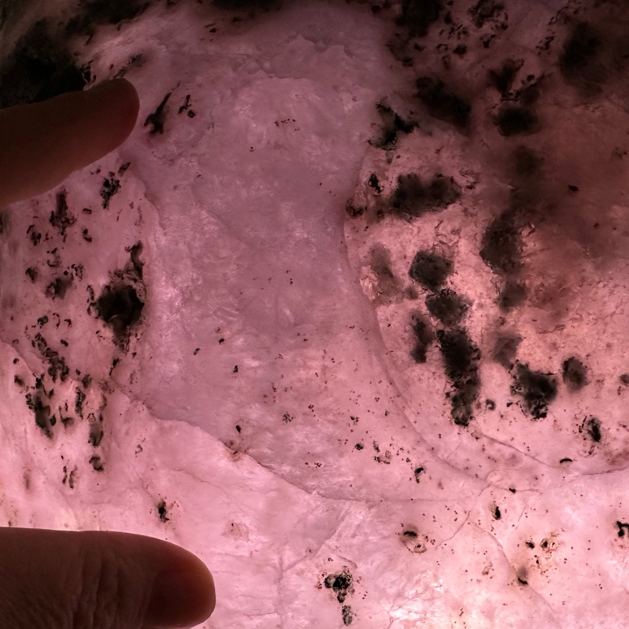 Extra Quality Polished Brazilian Amethyst Cathedral, 87.3 lbs & 17.75" tall Model #5602-0009 by Brazil Gems - Brazil GemsBrazil GemsExtra Quality Polished Brazilian Amethyst Cathedral, 87.3 lbs & 17.75" tall Model #5602-0009 by Brazil GemsPolished Cathedrals5602-0009