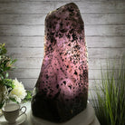 Extra Quality Polished Brazilian Amethyst Cathedral, 95.2 lbs & 24.6" tall Model #5602-0139 by Brazil Gems - Brazil GemsBrazil GemsExtra Quality Polished Brazilian Amethyst Cathedral, 95.2 lbs & 24.6" tall Model #5602-0139 by Brazil GemsPolished Cathedrals5602-0139