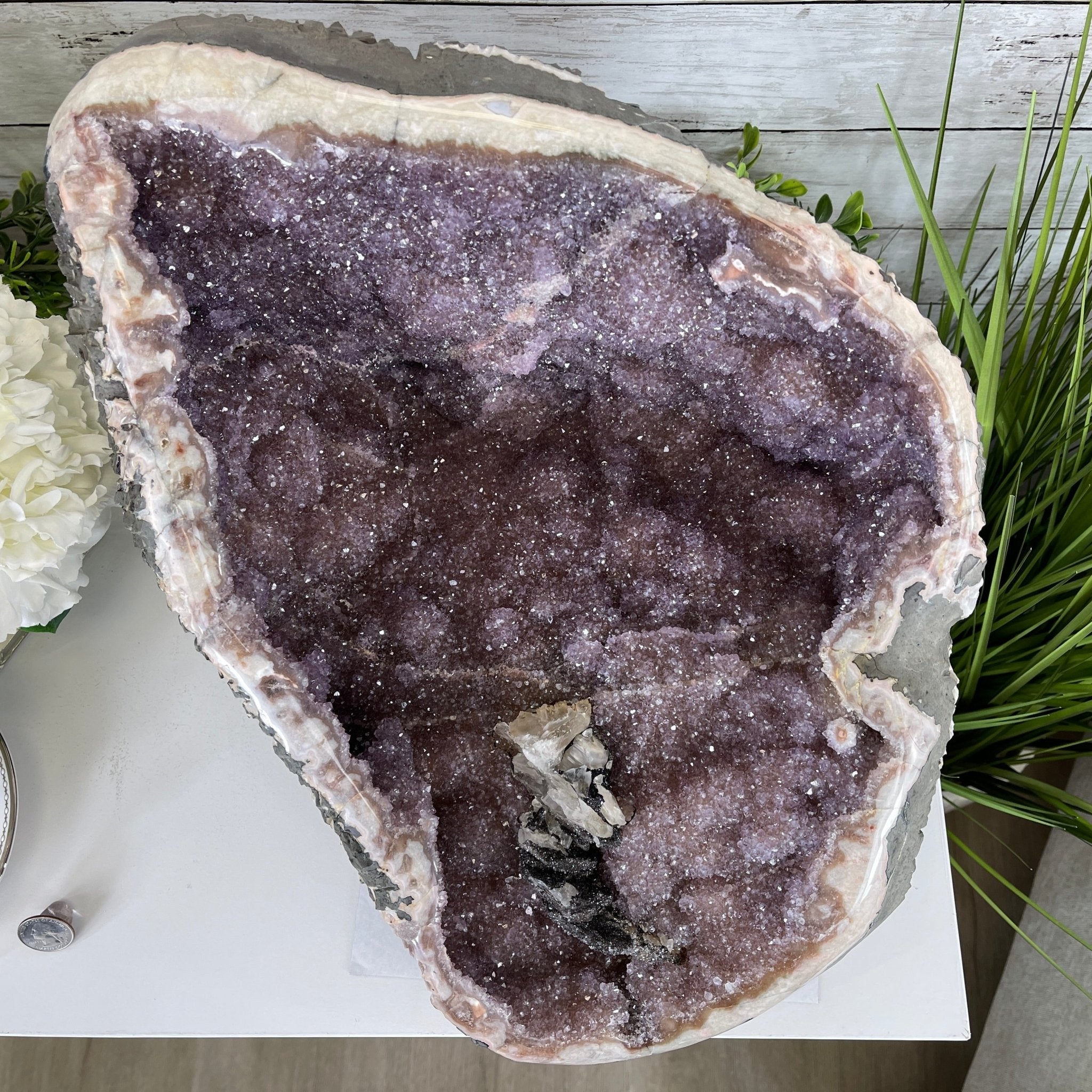 Extra Quality Unique Uruguayan Amethyst Geode, 10” tall & 50.4 lbs #5520-0007 by Brazil Gems - Brazil GemsBrazil GemsExtra Quality Unique Uruguayan Amethyst Geode, 10” tall & 50.4 lbs #5520-0007 by Brazil GemsClusters: Unique & Freeform5520-0007