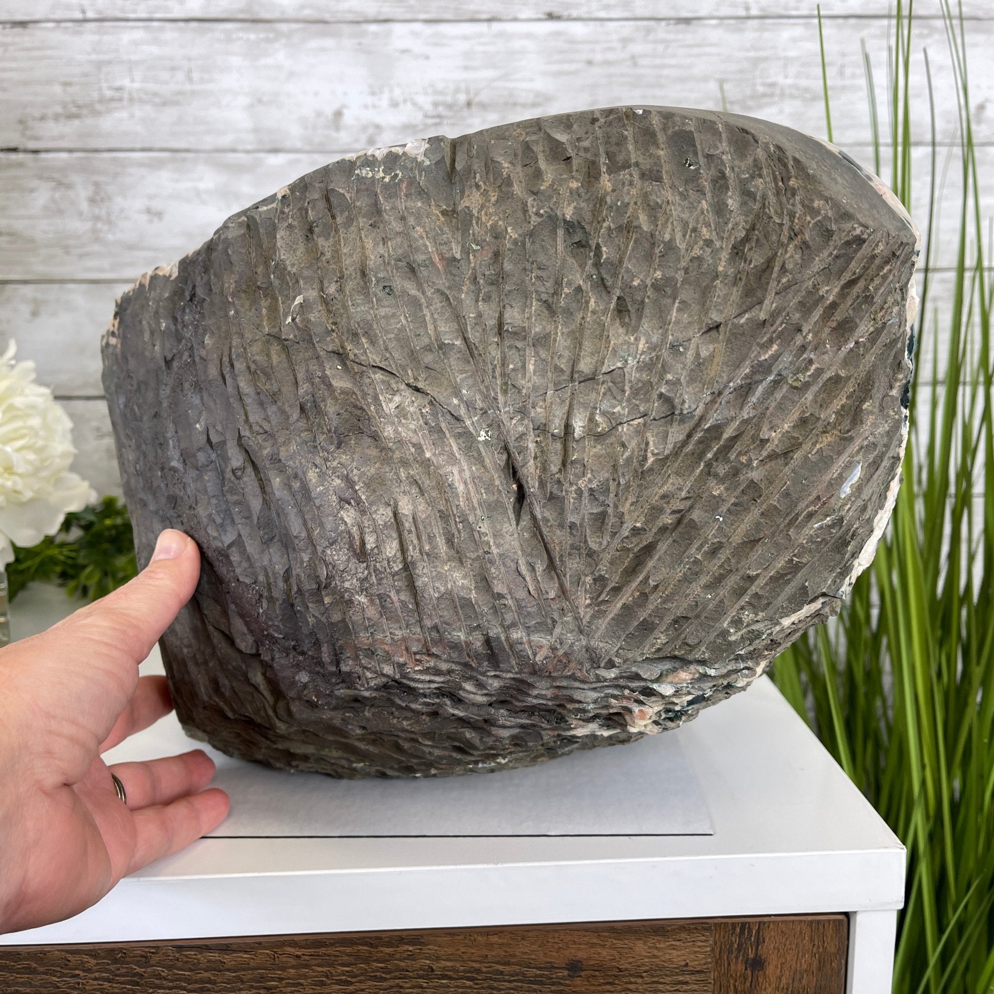 Extra Quality Unique Uruguayan Amethyst Geode, 10” tall & 50.4 lbs #5520-0007 by Brazil Gems - Brazil GemsBrazil GemsExtra Quality Unique Uruguayan Amethyst Geode, 10” tall & 50.4 lbs #5520-0007 by Brazil GemsClusters: Unique & Freeform5520-0007