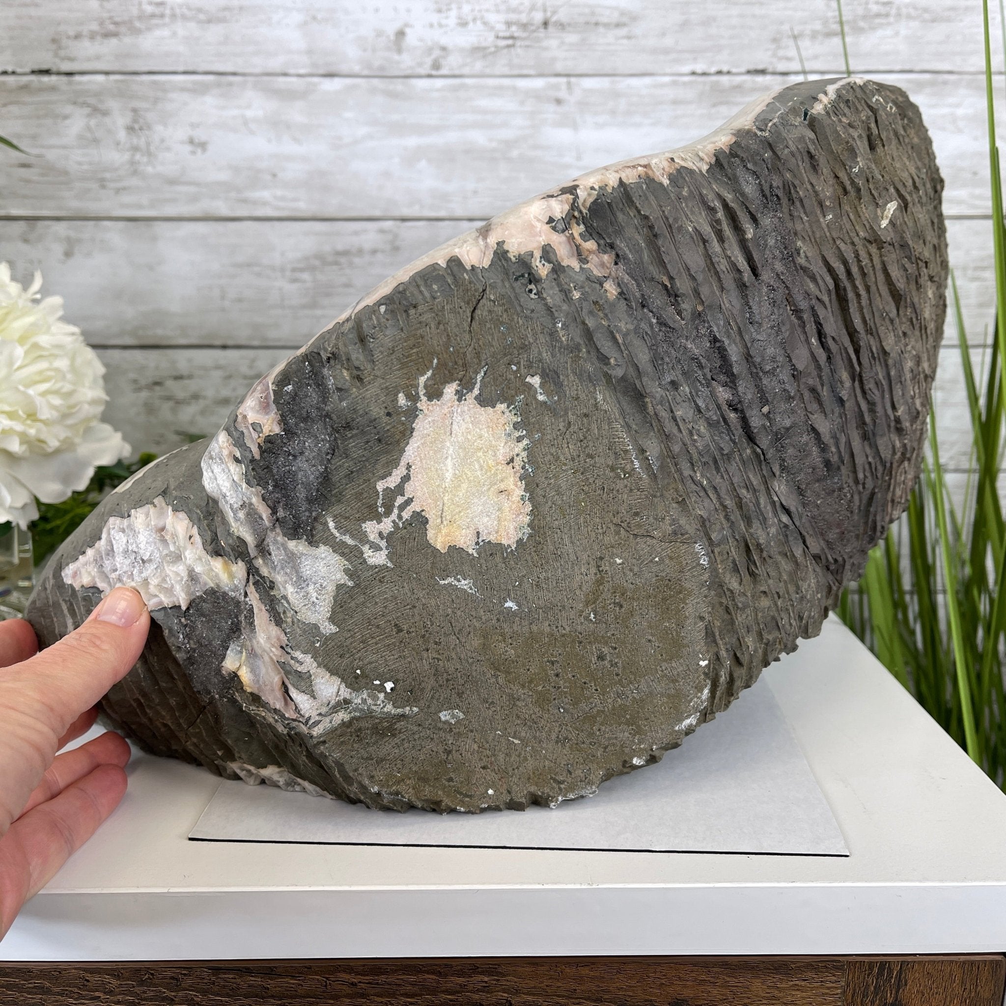 Extra Quality Unique Uruguayan Amethyst Geode, 10” tall & 50.4 lbs #5520-0007 by Brazil Gems - Brazil GemsBrazil GemsExtra Quality Unique Uruguayan Amethyst Geode, 10” tall & 50.4 lbs #5520-0007 by Brazil GemsClusters: Unique & Freeform5520-0007