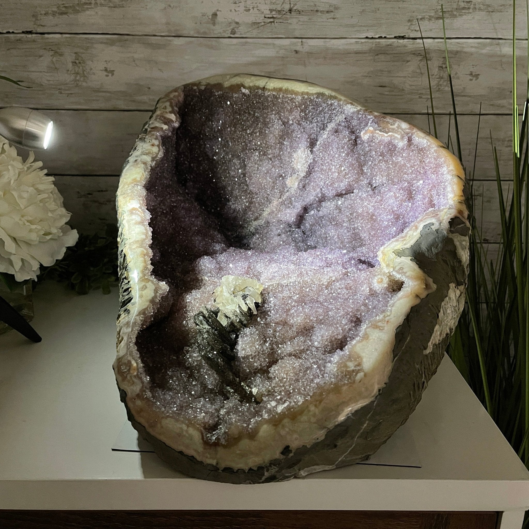 Extra Quality Unique Uruguayan Amethyst Geode, 10” tall & 50.4 lbs #5520-0007 by Brazil Gems - Brazil GemsBrazil GemsExtra Quality Unique Uruguayan Amethyst Geode, 10” tall & 50.4 lbs #5520-0007 by Brazil GemsClusters: Unique & Freeform5520-0007