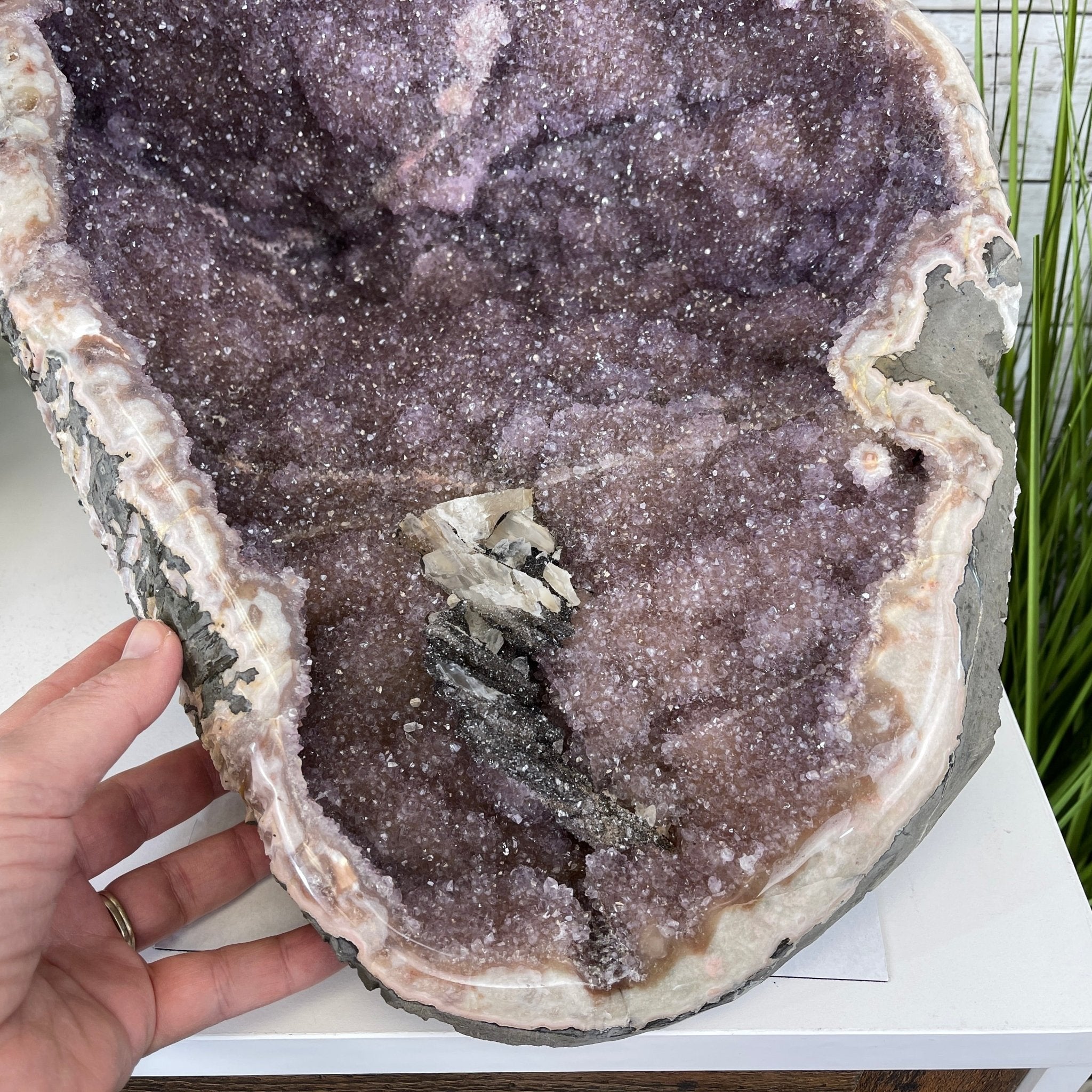 Extra Quality Unique Uruguayan Amethyst Geode, 10” tall & 50.4 lbs #5520-0007 by Brazil Gems - Brazil GemsBrazil GemsExtra Quality Unique Uruguayan Amethyst Geode, 10” tall & 50.4 lbs #5520-0007 by Brazil GemsClusters: Unique & Freeform5520-0007