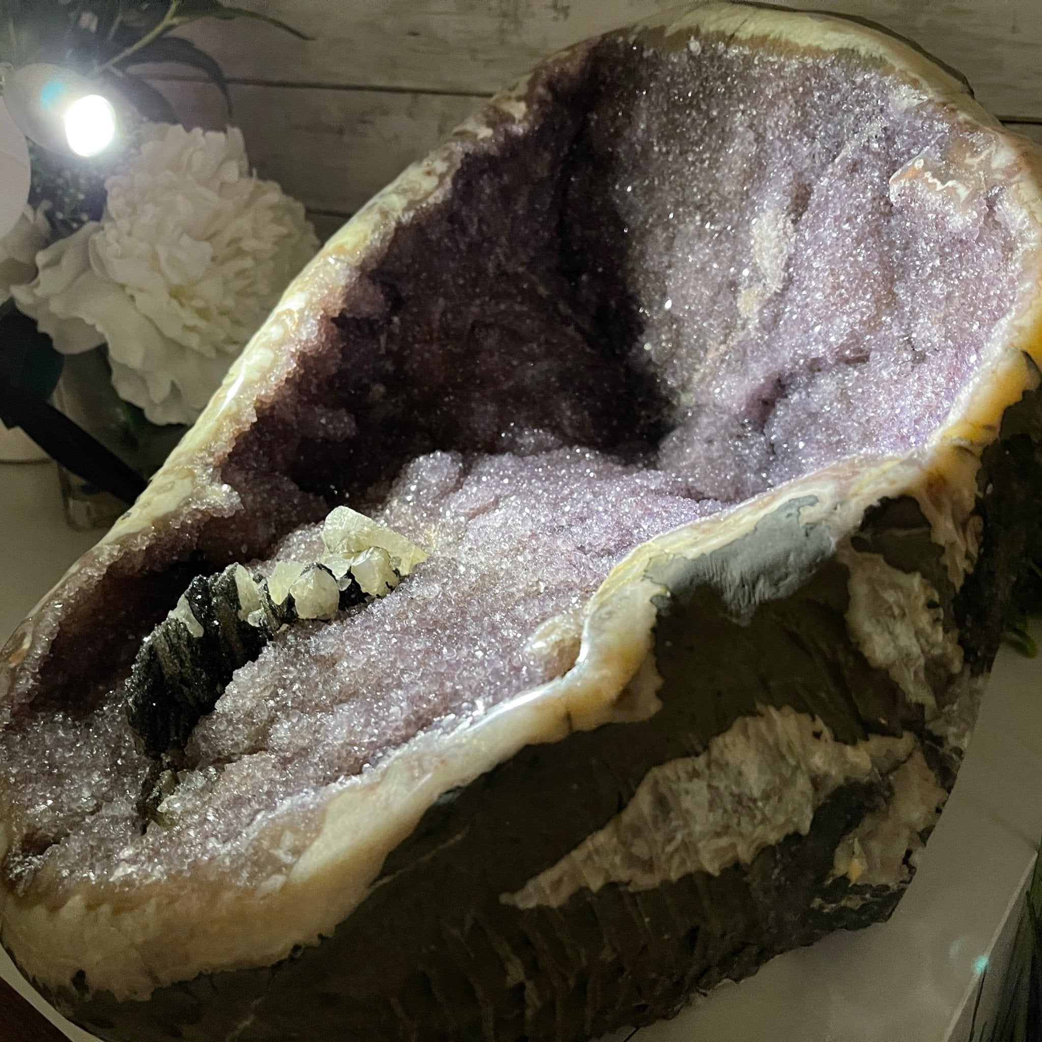 Extra Quality Unique Uruguayan Amethyst Geode, 10” tall & 50.4 lbs #5520-0007 by Brazil Gems - Brazil GemsBrazil GemsExtra Quality Unique Uruguayan Amethyst Geode, 10” tall & 50.4 lbs #5520-0007 by Brazil GemsClusters: Unique & Freeform5520-0007