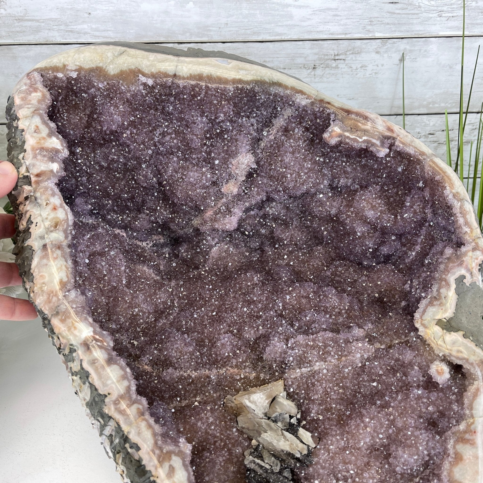 Extra Quality Unique Uruguayan Amethyst Geode, 10” tall & 50.4 lbs #5520-0007 by Brazil Gems - Brazil GemsBrazil GemsExtra Quality Unique Uruguayan Amethyst Geode, 10” tall & 50.4 lbs #5520-0007 by Brazil GemsClusters: Unique & Freeform5520-0007