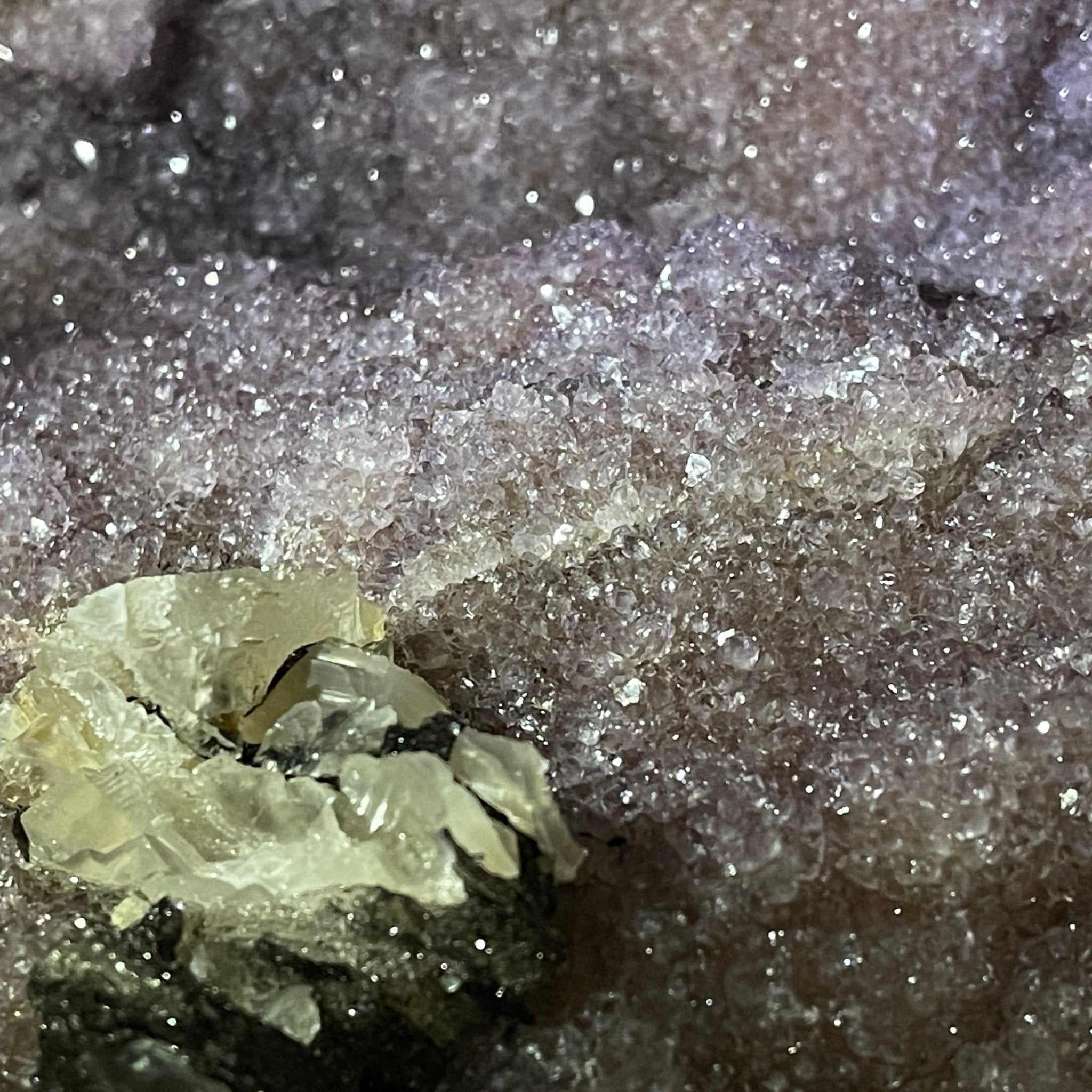 Extra Quality Unique Uruguayan Amethyst Geode, 10” tall & 50.4 lbs #5520-0007 by Brazil Gems - Brazil GemsBrazil GemsExtra Quality Unique Uruguayan Amethyst Geode, 10” tall & 50.4 lbs #5520-0007 by Brazil GemsClusters: Unique & Freeform5520-0007