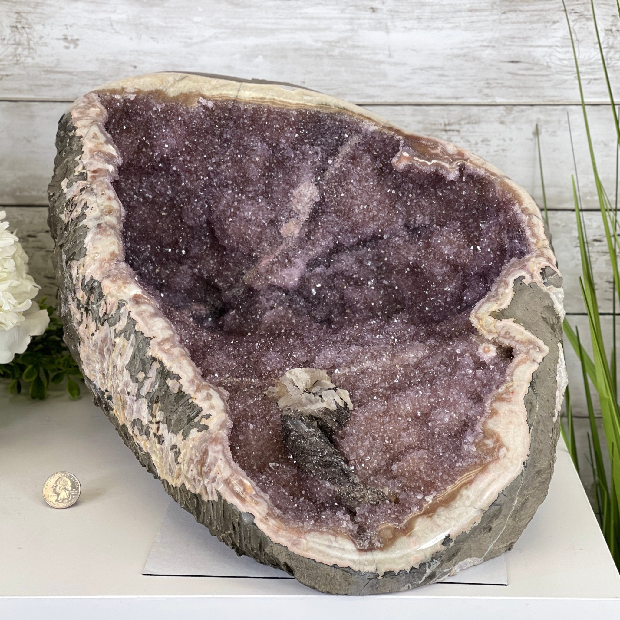 Extra Quality Unique Uruguayan Amethyst Geode, 10” tall & 50.4 lbs #5520-0007 by Brazil Gems - Brazil GemsBrazil GemsExtra Quality Unique Uruguayan Amethyst Geode, 10” tall & 50.4 lbs #5520-0007 by Brazil GemsClusters: Unique & Freeform5520-0007