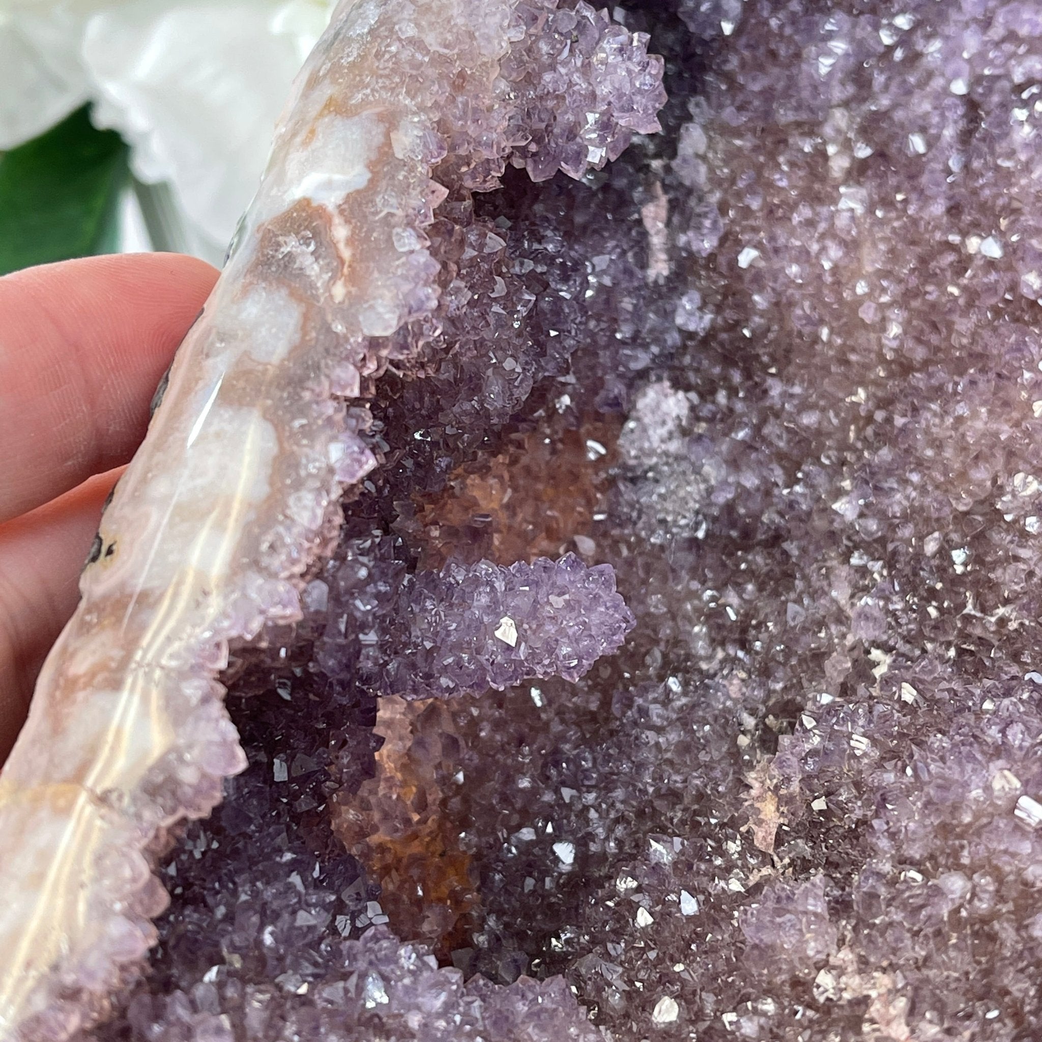 Extra Quality Unique Uruguayan Amethyst Geode, 10” tall & 50.4 lbs #5520-0007 by Brazil Gems - Brazil GemsBrazil GemsExtra Quality Unique Uruguayan Amethyst Geode, 10” tall & 50.4 lbs #5520-0007 by Brazil GemsClusters: Unique & Freeform5520-0007