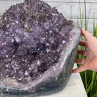 Extra Quality Unique Uruguayan Amethyst Geode, 10.25” tall & 55.8 lbs #5520-0008 by Brazil Gems - Brazil GemsBrazil GemsExtra Quality Unique Uruguayan Amethyst Geode, 10.25” tall & 55.8 lbs #5520-0008 by Brazil GemsClusters: Unique & Freeform5520-0008