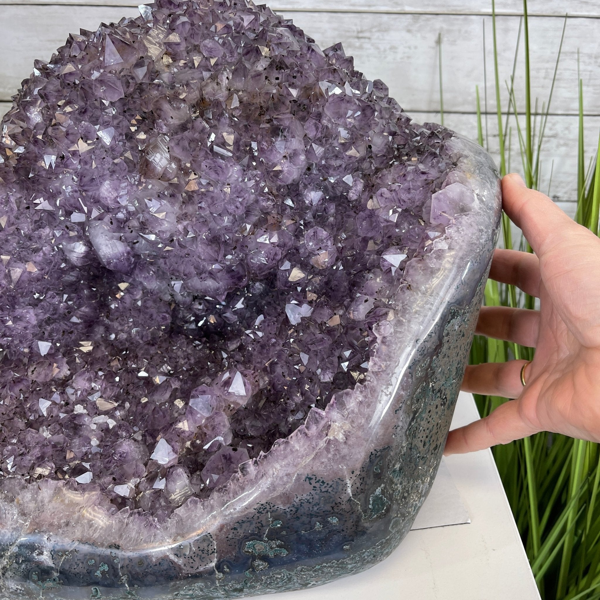 Extra Quality Unique Uruguayan Amethyst Geode, 10.25” tall & 55.8 lbs #5520-0008 by Brazil Gems - Brazil GemsBrazil GemsExtra Quality Unique Uruguayan Amethyst Geode, 10.25” tall & 55.8 lbs #5520-0008 by Brazil GemsClusters: Unique & Freeform5520-0008