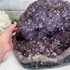Extra Quality Unique Uruguayan Amethyst Geode, 10.25” tall & 55.8 lbs #5520-0008 by Brazil Gems - Brazil GemsBrazil GemsExtra Quality Unique Uruguayan Amethyst Geode, 10.25” tall & 55.8 lbs #5520-0008 by Brazil GemsClusters: Unique & Freeform5520-0008