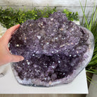Extra Quality Unique Uruguayan Amethyst Geode, 10.25” tall & 55.8 lbs #5520-0008 by Brazil Gems - Brazil GemsBrazil GemsExtra Quality Unique Uruguayan Amethyst Geode, 10.25” tall & 55.8 lbs #5520-0008 by Brazil GemsClusters: Unique & Freeform5520-0008
