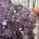 Extra Quality Unique Uruguayan Amethyst Geode, 10.25” tall & 55.8 lbs #5520-0008 by Brazil Gems - Brazil GemsBrazil GemsExtra Quality Unique Uruguayan Amethyst Geode, 10.25” tall & 55.8 lbs #5520-0008 by Brazil GemsClusters: Unique & Freeform5520-0008