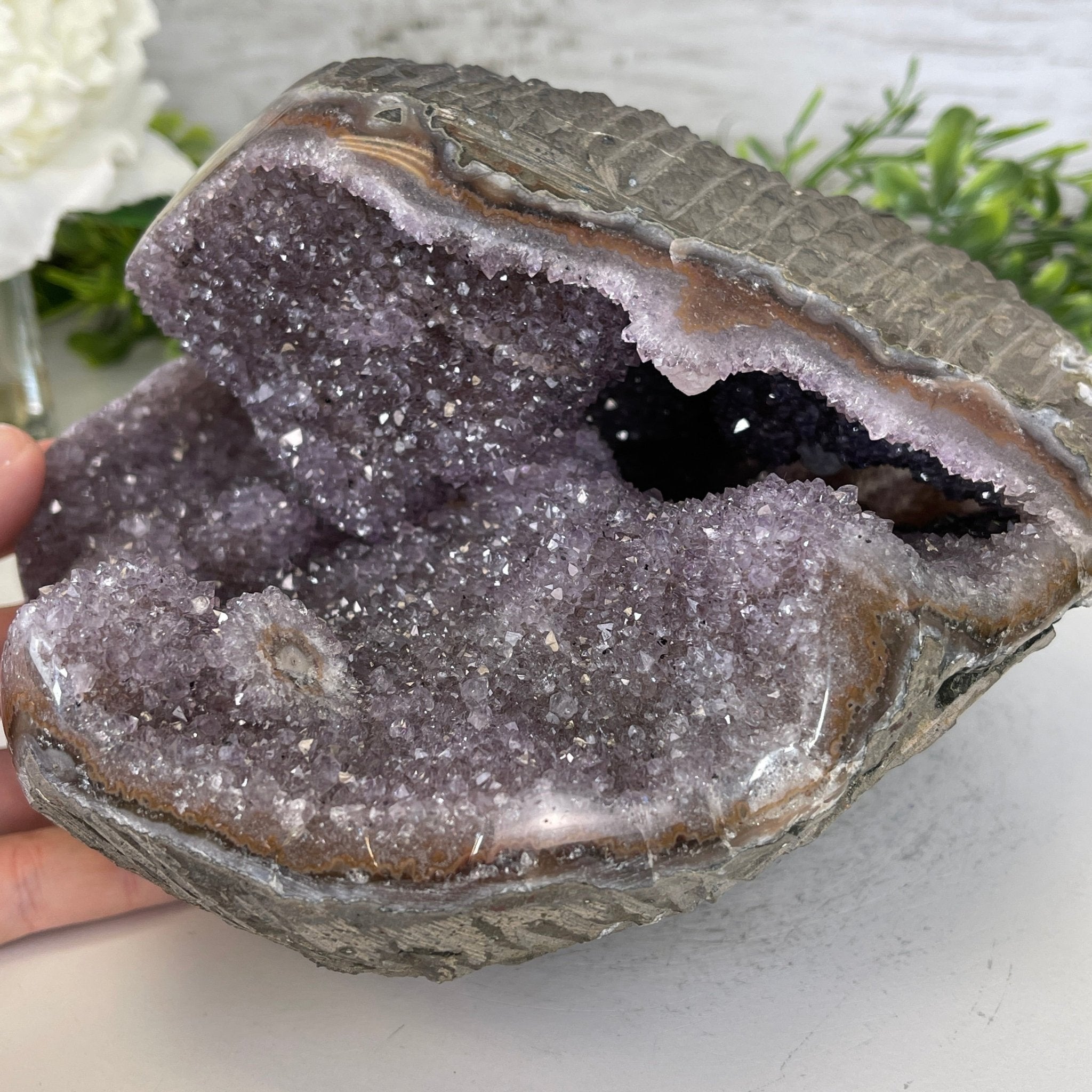 Extra Quality Unique Uruguayan Amethyst Geode, 4.75” tall & 10.7 lbs #5520-0002 by Brazil Gems - Brazil GemsBrazil GemsExtra Quality Unique Uruguayan Amethyst Geode, 4.75” tall & 10.7 lbs #5520-0002 by Brazil GemsClusters: Unique & Freeform5520-0002