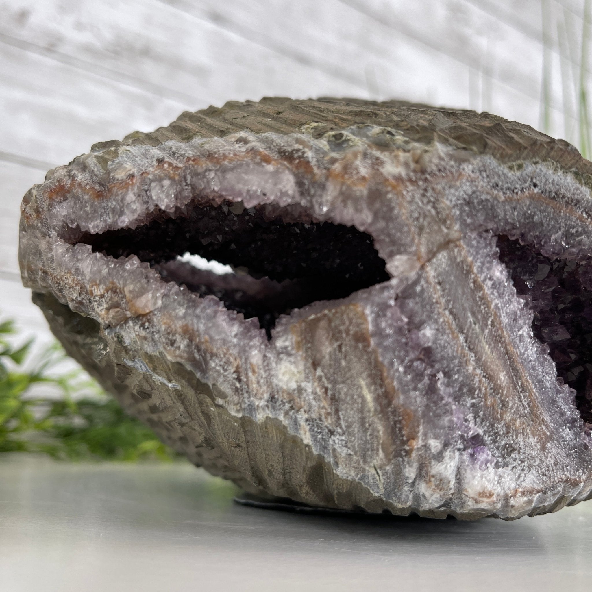 Extra Quality Unique Uruguayan Amethyst Geode, 4.75” tall & 10.7 lbs #5520-0002 by Brazil Gems - Brazil GemsBrazil GemsExtra Quality Unique Uruguayan Amethyst Geode, 4.75” tall & 10.7 lbs #5520-0002 by Brazil GemsClusters: Unique & Freeform5520-0002